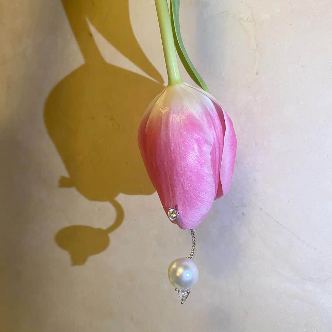 デルフィナデレトレズのインスタグラム：「If you wonder what kind of flowers to offer me... here’s a tip ...   #delfinadelettrez」