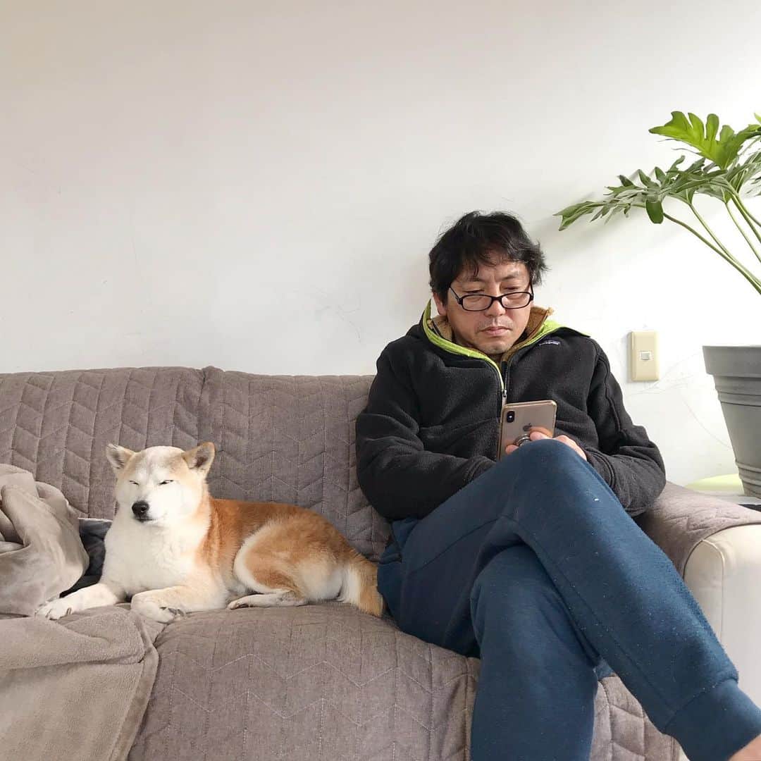 柴犬リリコのインスタグラム：「最近うちのアレクサ（👨🏻）が反抗的になっている件😅 #音声は自粛」