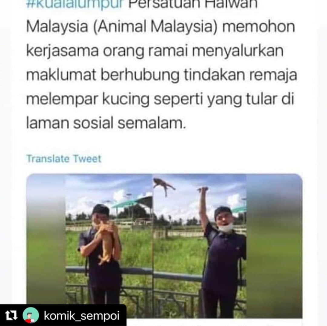 Koleksi Komik Malaysiaさんのインスタグラム写真 - (Koleksi Komik MalaysiaInstagram)「#Repost @komik_sempoi with @make_repost ・・・ Campak kucing (Isu semasa)  Kes macam ni dah berluasa dah.Sorang dah kena tangkap tiba² ada lagi yang buat kes macam ni.Sebagai manusia yang berakal kita tak sepatutnya buat haiwan macam tu.Dia pun ada hak nak hidup kat bumi Allah ni.Demi konten tiktok sanggup zalim terhadap haiwan.Sekarang kat dunia mampu tersenyum tetapi dekat alam sana nanti? Allahuakbar 😢  Follow @komik_sempoi  Follow @komik_sempoi  Follow @komik_sempoi  Follow itu gratis korang 😜  #koleksikomikmalaysia #gengkomikmalaysia #komikmalaysia #komikdakwah #komiknasihat #komiksempoi #malaysia #dakwah #nasihat #islam #isusemasa #seni #art #campak #zalim #kucing」1月18日 21時14分 - tokkmungg_exclusive