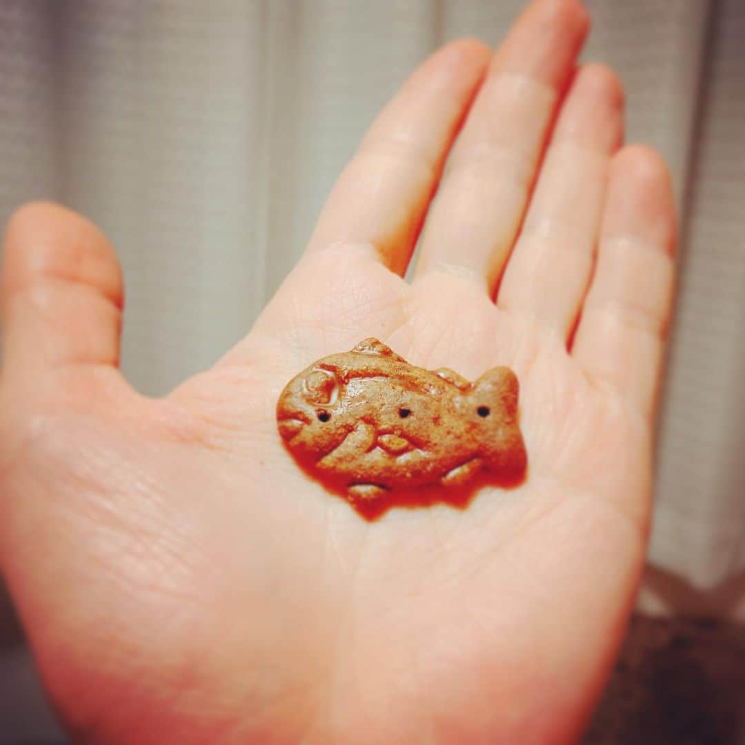 田井弘子さんのインスタグラム写真 - (田井弘子Instagram)「ここにも #鯛  そして、これ美味しい♡  #たべっこ水族館しみチョコビス」1月18日 12時55分 - hirokotai