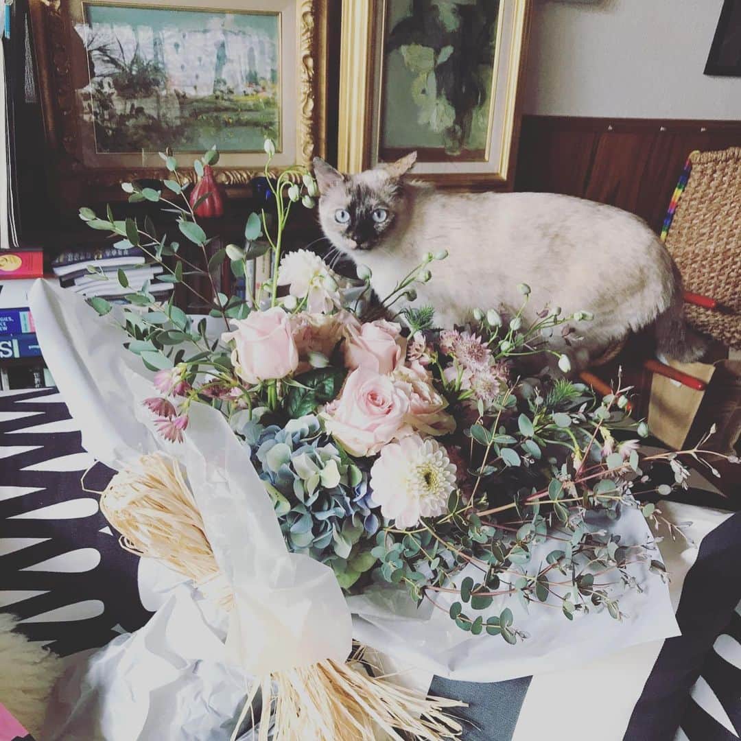土井ケイトさんのインスタグラム写真 - (土井ケイトInstagram)「家族、愛する人たちに感謝。すきだー。ほんとにありがとう。そして皆様からのメッセージ、お花、プレゼント、本当に本当に嬉しかったです！幸せだーーーー！今世界は本当に色々大変だけど前を見て一歩一歩、22歳を謳歌していきます。え。稽古がんばろ！」1月18日 12時56分 - katedoi