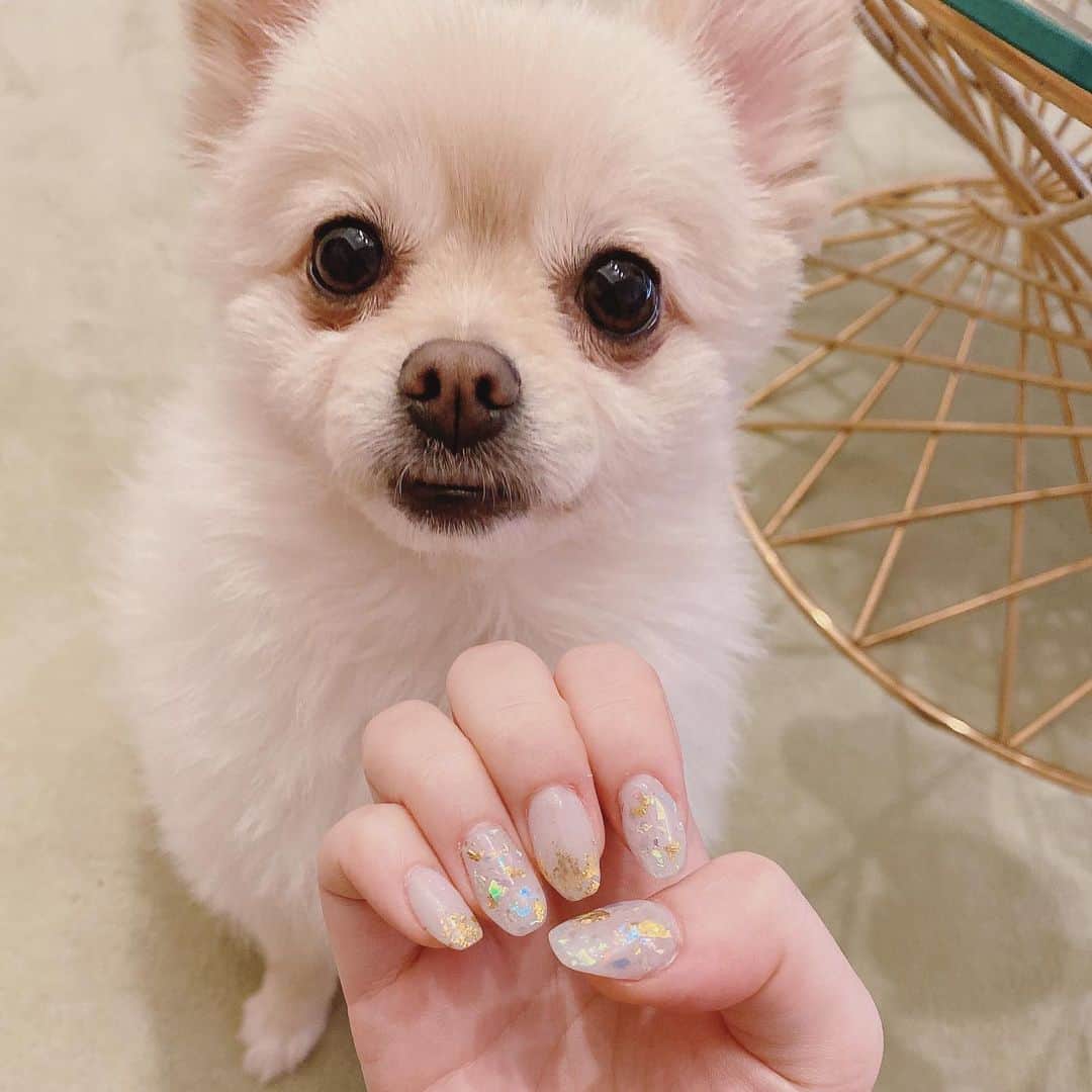 飛鳥凛のインスタグラム：「新しいネイルに変えました💅 #お家時間　#セルフネイル　だよ！  今回も全て#seria #セリア　のジェル、パーツを使用したよ✨ 深爪気味だったので２ミリ位ティッシュで長さ出しをして形をスクエアに🥺  全体的にキラキラさせたかったから透け感のあるグレーを土台にしてホロと金のホイルを少し！ 中指と小指は指先にホイルをたっぷり乗せたデザインです❤️  だいぶ慣れてきてなんとなく綺麗に出来る様になったから嬉しい😊」
