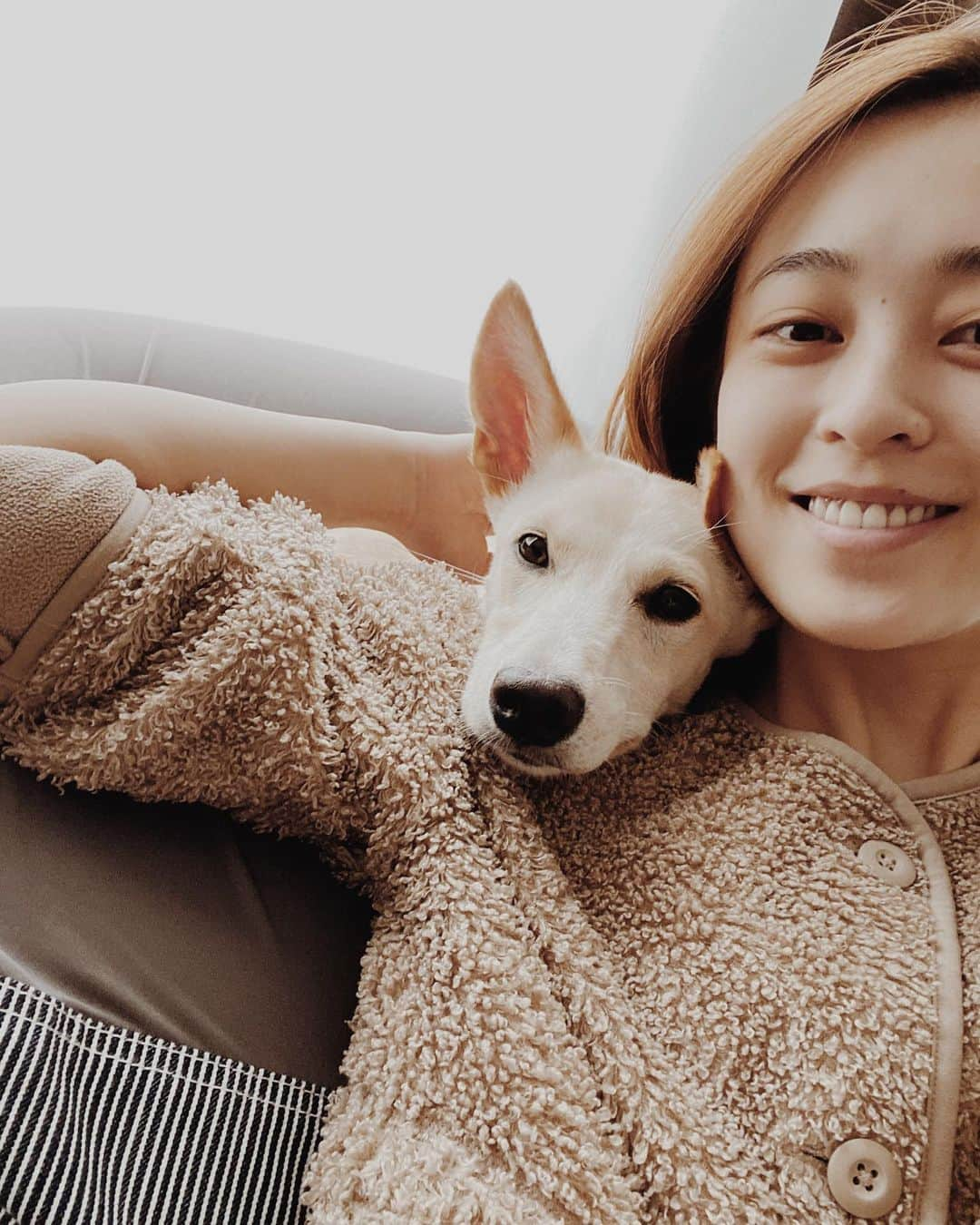 滝裕可里さんのインスタグラム写真 - (滝裕可里Instagram)「_ 【保護犬の預かりをしようと思った理由】  トゥンさんをお預かりする少し前に 保護犬を家族に迎え入れたいと思い おーあみ避難所さんで保護されていた ワンちゃんとお見合いをさせて頂きました。  その時に、感じたこと…  ワンちゃんの幸せを真剣に考えたときに “私たち夫婦では難しいのかな？” ということでした。  この話はまた改めて 投稿したいなと思っていますが、、  我が家は夫婦共働きです  ワンちゃんを一人にさせてしまう時間も 必然的に生まれます  保護犬ちゃんは人間のせいで 怖い経験や嫌な経験をしてる子が多いです  なので、時間をかけてのケアが必要ですし なるべく多くの時間を共にできる 終生飼育が理想なのだと思います。  なぜなら、 犬は群れで生活する生き物だからです！  これは、 保護犬だから特別！というわけではなく ペットショップからであろうが ブリーダーさんからであろうが 犬は飼い主さんと共に行動したいと思っています  とはいえ かまい過ぎるのとは違うのですが…  犬の群れが一緒にする行動は “食べる” “遊ぶ” “寝る” です  なるべく多くの時間この行動を 一緒にしたほうが群れになれます  ましてや、トゥンさんのような 元野犬ちゃんは野生動物なのです！！  【野犬＝人間を知らない人間に飼われていない犬】  なので、第一優先で 《群れ》になることが必要になります  群れだからこそ尊重し合えるのです  群れになって始めて信頼関係が生まれ お願い(ルール、しつけ)を聞いてもらえるのです。  幸い、今はコロナの影響もあって 我が家には時間がありました。  それも知ってもらったうえで 保護団体さんから 保護犬預かりボランティアのお話を頂きました。  それがまもなく殺処分される予定の ガリガリでハゲハゲのトゥンさんでした  人間を知らずに育った野犬の子犬ちゃんを 「人とでも群れになれるんだ」と 知ってもらうことが私の役割になりました  そして、おそらく 皆さんにも伝わっていると思いますが トゥンさんと群れになれました♡  離れたところで人間が動くだけで、 体を硬直させ怖がっていたトゥンさんが 人間と群れになれたのです。  ここからのスタートなら 新しいお家で、新しい家族と 群れになる準備はバッチリだと思います  もちろん最初は怖いかもしれない 慣れるまでに時間がかかるかもしれない  でも、犬はより多くの時間を共にした人と 新たに群れになることが出来るんです。  それぞれの家にいった犬が 母犬や兄弟犬と再会したときに 人間が思っている以上の 感動の再会が起きないように(笑)  犬にとって大切なのは より多くの時間を共にすることなのです。  だから、トゥンさんは大丈夫！  私と過ごした4ヶ月よりも 新しいご家族とこれから 遥か多くの時間を共にしていくんです☺️  そうやって命を繋いでいくことが 保護犬預かりボランティアの役目  トゥンさんの命を人間の身勝手で 奪わずにすんで良かったなと思うと同時に  トゥンさんをお預かりしている間にも 救えなかった命もあちこちに山ほどある  救いたくても保護する場所がない 保護してケアしてあげる人が足りてない  だから、私に出来るかぎりで この活動も継続していきたいのです！  トゥンさんへのありったけの愛情は 新しいご家族にバトンタッチ🤝  これも人間の身勝手ですが想いが違います。  トゥンさんが幸せになれるように 永遠にサポートしていくので そこはどうか安心してしてくださいね☺️  そして、  トゥンさんの成長を 一緒に見守ってくださって ありがとうございました。  暖かいメッセージも嬉しかったです ありがとうごさいました。  毎日、 愛で満たしてくれたトゥンさんに感謝して あと数日、 ありったけの愛情で群れでいます🐶👩🏻❤️  #トゥン日記　#トゥンたき  #トライアル決定　 #うまくいきますように #保護犬預かりボランティア #保護犬　#元野犬　#犬 #ドッグトレーニング #犬を尊重したトレーニング #モチベーショントレーニング #ハズバンダリートレーニング」1月18日 13時05分 - takiyukari_official