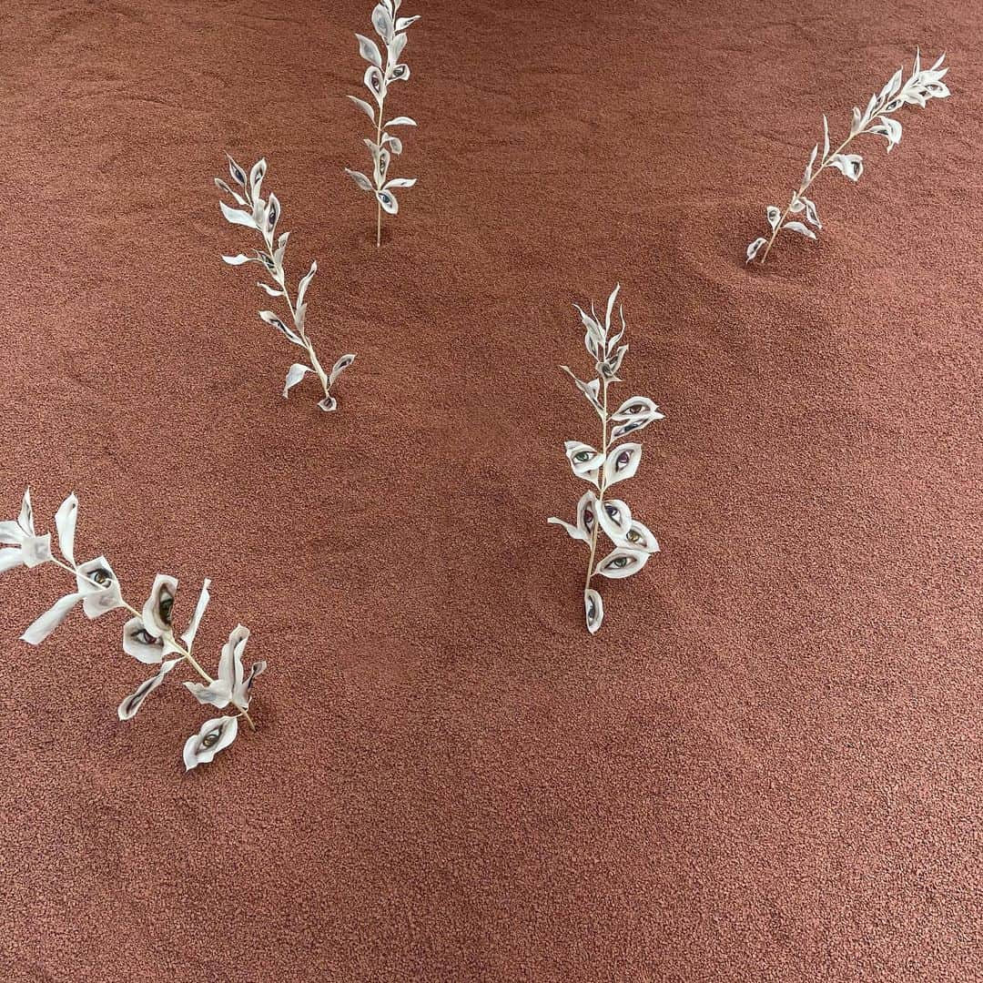 林映唯のインスタグラム：「#eyeseesnolashes」