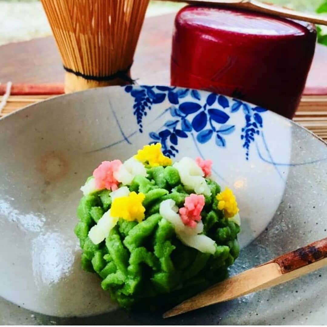のインスタグラム：「Coming of Spring  Plant and flowers have started to sprout out and flower. we are excited with Joy and expectation.  #toirowagashi」