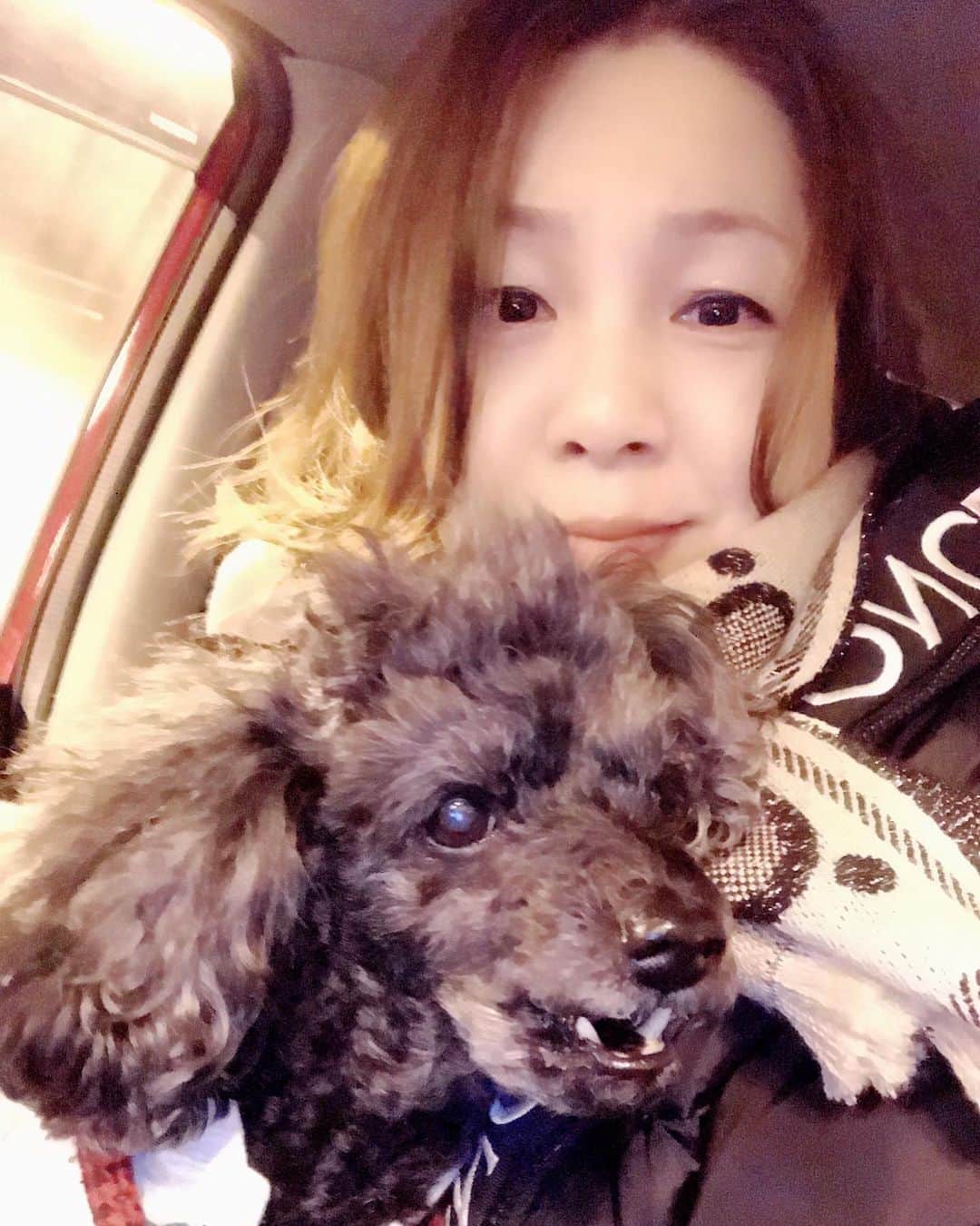 井上貴子のインスタグラム：「11月12月と イチナナ×LLPW-Xイベントを やってきて  年明けで スケジュール決めるところにきて 緊急事態宣言。  ということで 1月は見送ります。  そして2月に入ってから 皆さんに楽しんでもらえる イベントを企画して 実行します^ ^  しばらくお待ち下さい。  Happyで^ ^  プロフィール画面に記載のURLより 通販サイト「神取屋」に飛べます^ ^  コロナ禍に携わる 全てのお仕事の皆様。  心から 感謝しています。  引き続き油断せず お気をつけて お過ごし下さいませ。  #井上貴子  #LLPWX #女子プロレス #紅緒と柊音 #トイプードル #イチナナとコラボ #LLPWX通販サイト神取屋 #TikTokはじめてみた #Twitterも見てね #感謝 #STOPCOVID19」