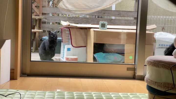 ゆたこのインスタグラム