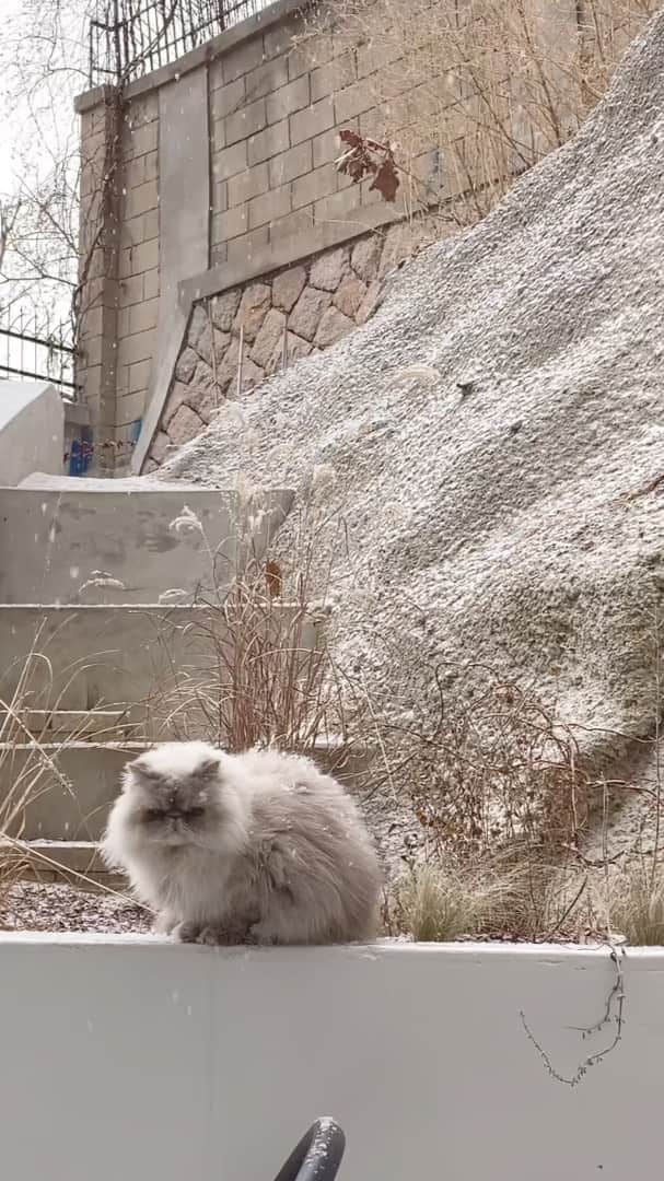 イ・エルのインスタグラム：「❄️」