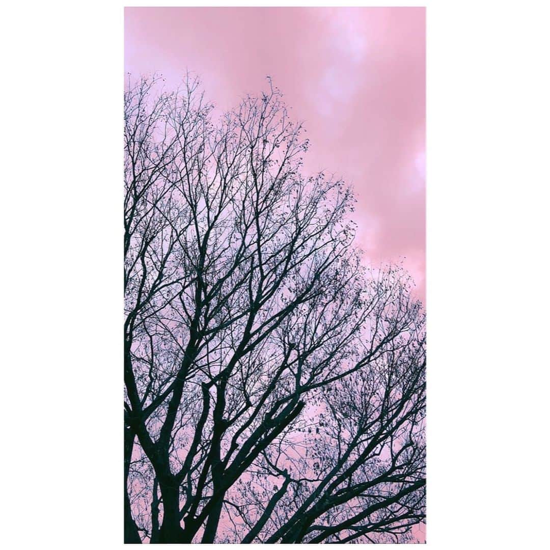 理絵さんのインスタグラム写真 - (理絵Instagram)「いつかの早朝に撮った写真  #sky #空 #하늘 #cielo #cielo_rie」1月18日 15時47分 - ____rie____