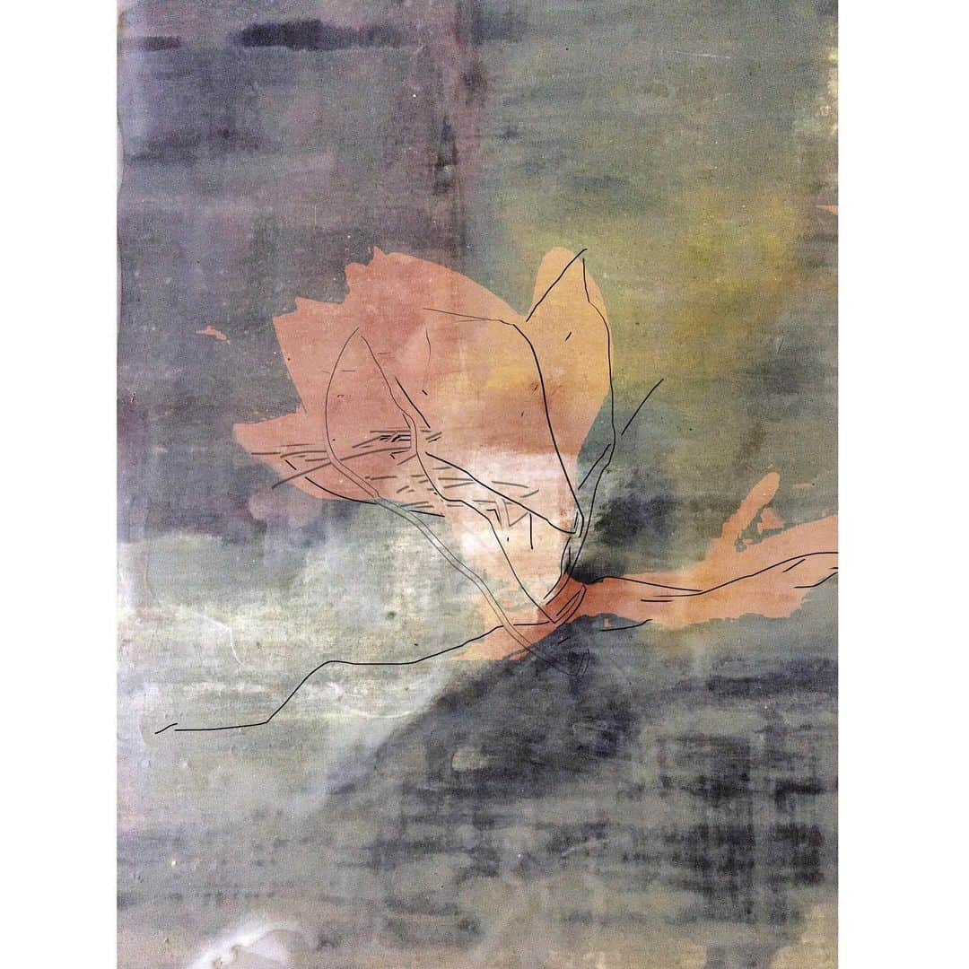 Uzo Hiramatsuさんのインスタグラム写真 - (Uzo HiramatsuInstagram)「past #fukuoka #contemporaryart #painting #drawing #flower」1月18日 15時48分 - uzo_hiramatsu