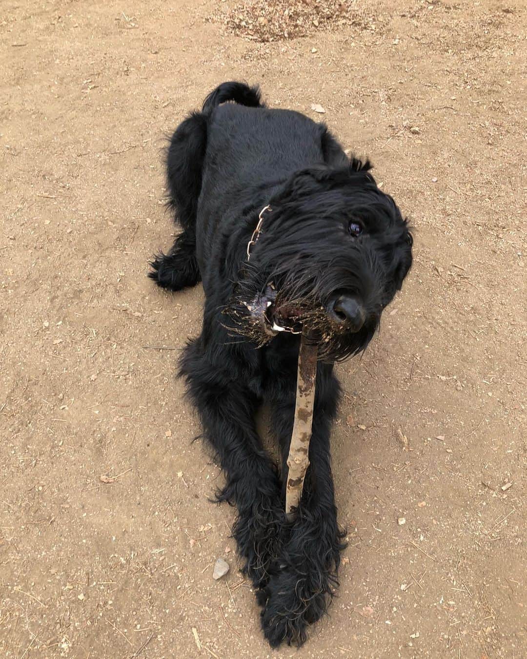 しなしさとこのグルメインスタ