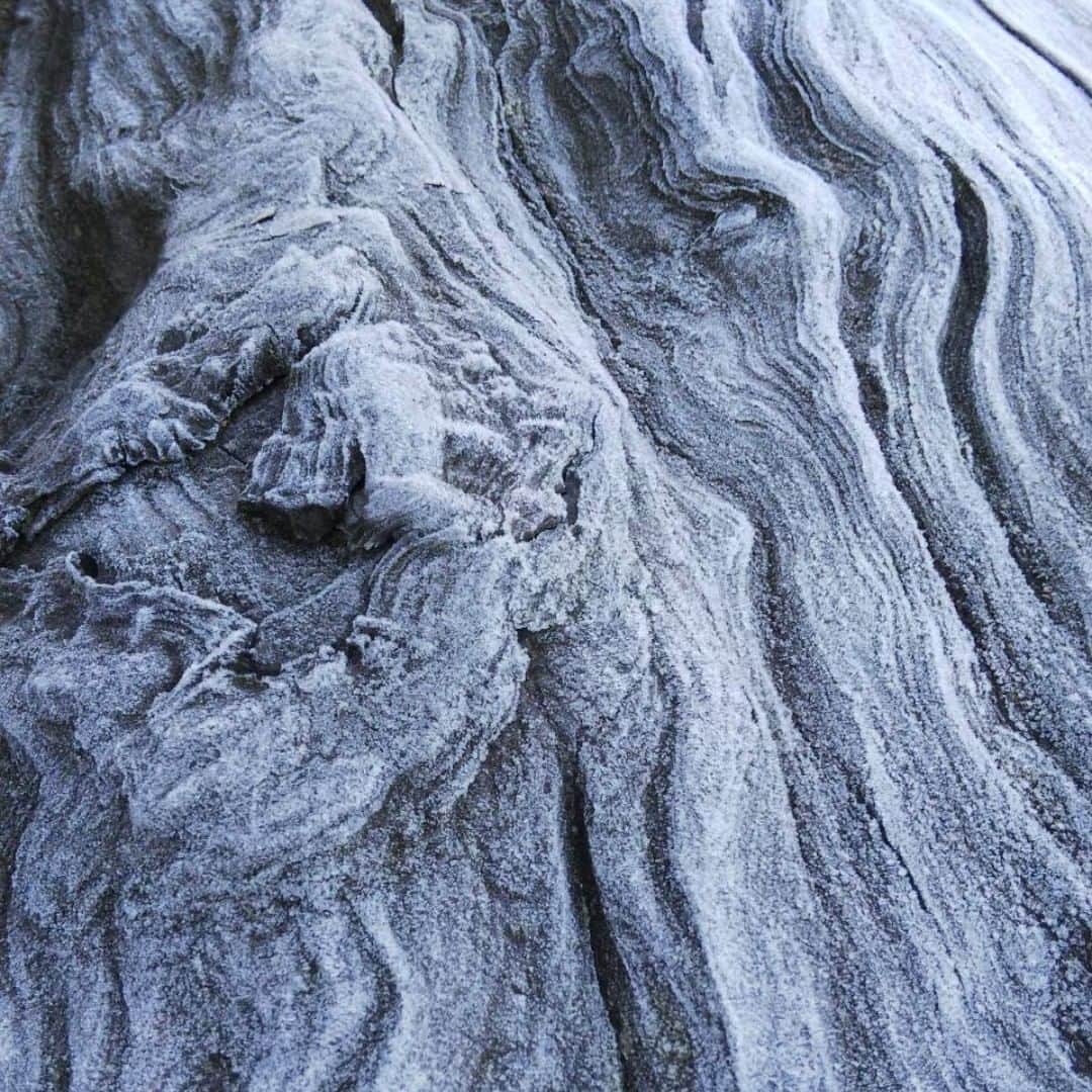 木楽木工房のインスタグラム：「霜の降りた日に撮影。幻想的なうねりを持つこの木は、、、屋久杉です。美しい。まるで芸術作品です。入荷のその日に売れてしまい、少々寂しいです。#屋久杉#大木#霜#丸太#半割#うねり#天然#木肌#インテリア#木目#艶#素材#技#職人#オーダーメイド#木材 #木#流山 #柏 #木楽木工房#模様」