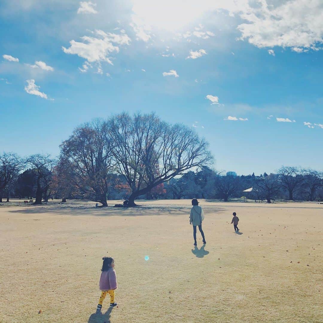 石野千尋のインスタグラム：「On a fine day in winter, we enjoyed a beautiful Shinjuku Gyoen Park. . 年末の新宿御苑はほぼ貸切で最高だった！ 年パスを手に入れたので、今年もたくさん行きたい場所のひとつ。春にはお弁当を持ってピクニックできるかな？🌸 . 隅々までお手入れされてるから子供達も安心して走り回れるし、光もぬけも良いので、カメラの練習や家族写真撮影にもオススメ！ . #shinjuku #gyoen #park #tokyo #sunny #bluesky #photo #photographer #babygirl #camera #家族写真 #新宿御苑 #🌸」