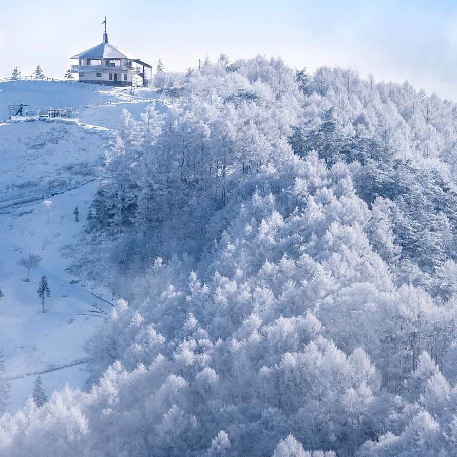 ANAさんのインスタグラム写真 - (ANAInstagram)「白銀の世界﻿❄️ （Photo：@tsukasa_camera）﻿ ﻿ #霧氷の森 #聖高原 #長野県 #信州 #霧氷 #冬 #冬の絶景 #日本の絶景 #絶景スポット #次行きたい旅スポット #anaタビキブン #それぞれの旅計画 #雪化粧 #雪 #白 #nagano #shinsyu #portrait #rime #winter #snow #forest #white #japantrip #trip #ana_jp ﻿ ﻿ 旅の思い出は「#anaタビキブン 」をつけて投稿してね💙インスタやANAの各メディアでご紹介していきます📷」1月18日 17時38分 - ana.japan