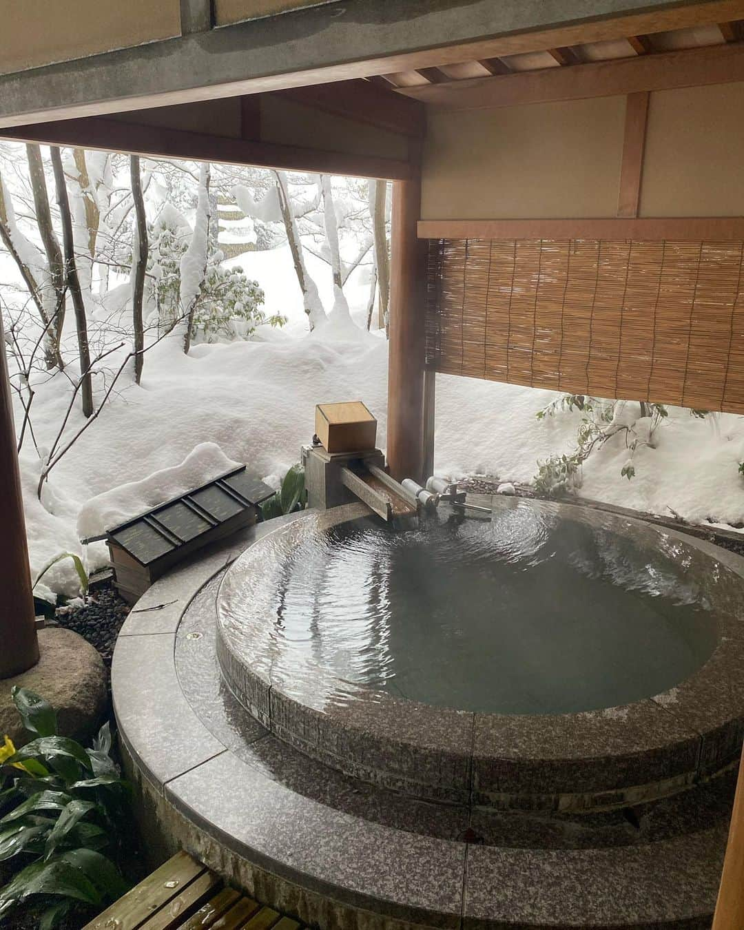 丸山悠美さんのインスタグラム写真 - (丸山悠美Instagram)「お部屋からも真っ白❄️ 娘はずっと百人一首のすぶりに励んでいました😂  #雪景色 #日本庭園 #庭園 #新潟県#新潟#新発田市#新発田﻿ #月岡温泉#温泉旅行 #温泉#お風呂#露天風呂 #子連れ温泉 #子連れ #女の子ママ #こどものいる暮らし #snowscene #photo #photography #photographer #photooftheday ﻿#japan_of_insta  #写真好きな人と繋がりたい」1月18日 17時53分 - maruyumi