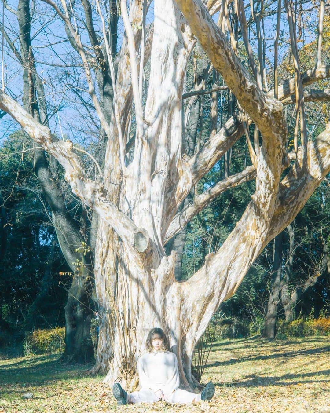 MIMORIのインスタグラム：「#作品撮り #shooting #photography #tokyo #forest #park #japan #japanese #japanesegirl #girl #model #winter #white #whitecode #naturalmakeup #mediumhair  #撮影#モデル#作品#ナチュラルメイク#ミディアムヘア#白#ホワイトコーデ」