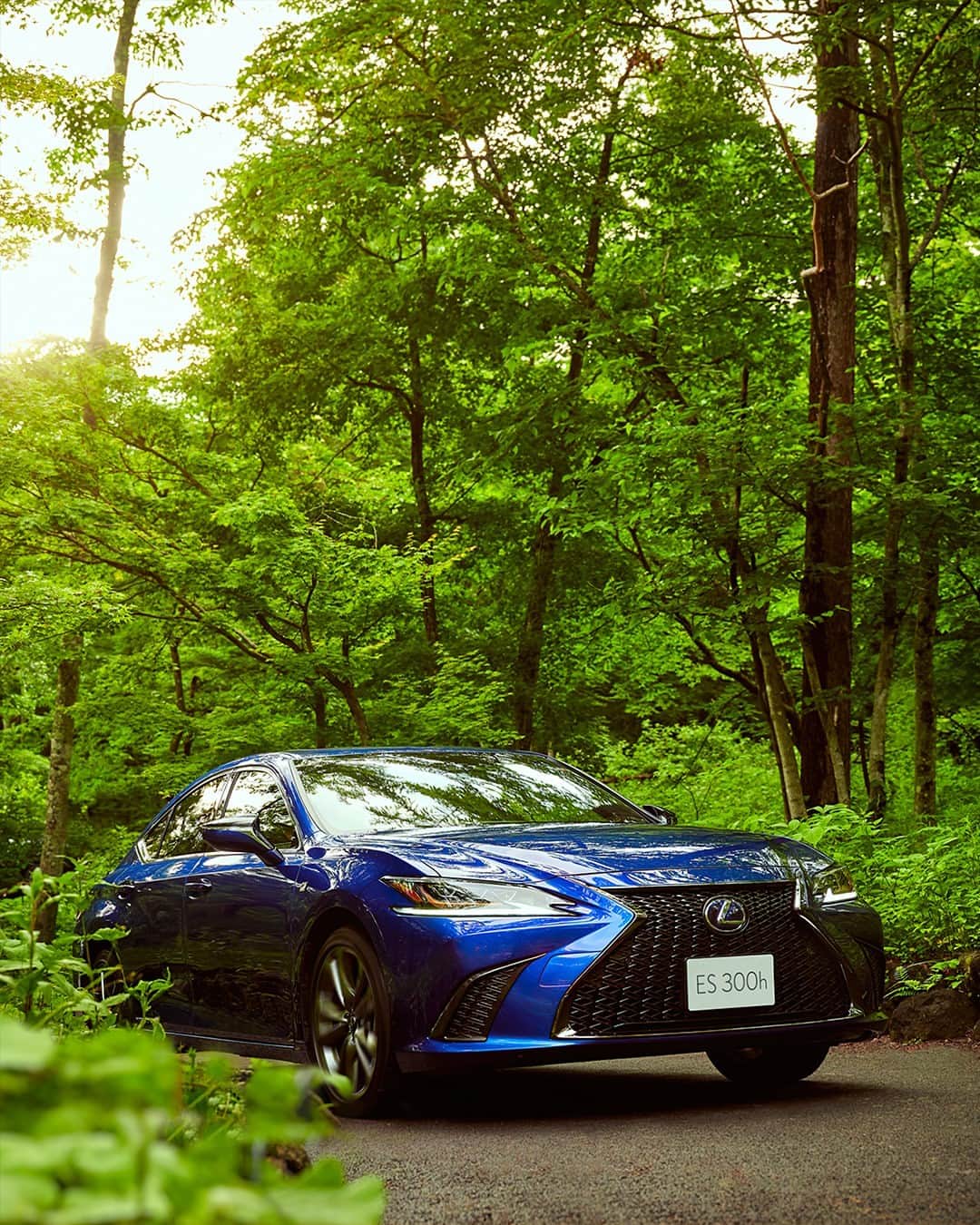 LEXUS / レクサスさんのインスタグラム写真 - (LEXUS / レクサスInstagram)「ハンドルを握る喜びは、スムーズで上品な動きが紡ぎ出す。  #レクサス #Lexus #LexusES #レクサスES #セダン #車好きな人と繋がりたい #carsofinstagram #carlifestyle #carphotography #drive #ドライブ」1月18日 18時00分 - lexus_jp