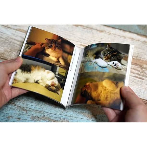 Photobackさんのインスタグラム写真 - (PhotobackInstagram)「本日ご紹介する作品は ミヌエットのラン@あり家の猫 (@arikenoneko)さまの一冊🐈 とってもキュートな 猫ちゃんをおさめた一冊です🥰 . 『2020年に念願の猫を 飼いはじめたので、 家に来てからの記録を 本として残して おきたかったため 作成をしました。 . また、猫のYouTubeチャンネルを 持っているため、 フォトブックのつくり方が 参考になるのでは、 と感じ作成に至りました。 . 実際に作成してみると 綺麗なデザインの フォトブックを 簡単につくることが できてとても感動しました。 とても満足しています😊』 と、ミヌエットのラン@あり家の猫 (@arikenoneko)さま🙋‍♀️ . ペットの写真を フォトブックに される方は多いですが、 こちらの作品は とにかく写真の クオリティも高く、 まるで作品集のような 出来栄えになっています💗 . 中面のレイアウトもバリエーションを 持たせて使われているので、 余すこと無く猫ちゃんの魅力が 伝わってきますね😌 . こちらの作品では、 ALBUMの36ページが つかわれています📖 CDサイズのコンパクトな アイテムだからこそ、 いつでも気軽に 取り出して読むことが できますよ🎉 . ミヌエットのラン@あり家の猫 (@arikenoneko)さま、 今回は素敵な作品を ありがとうございました🌿 . #photoback #フォトバック #フォトアルバム #フォトブック #フォトブックづくり #アルバム #photo #写真 #photoback作品紹介2021 #ALBUM #猫 #ねこすたぐらむ #猫のいる暮らし #猫のいる生活 #写真好きな人と繋がりたい #写真集 #cat #子猫 #可愛い #ミヌエット」1月18日 18時00分 - photoback.jp