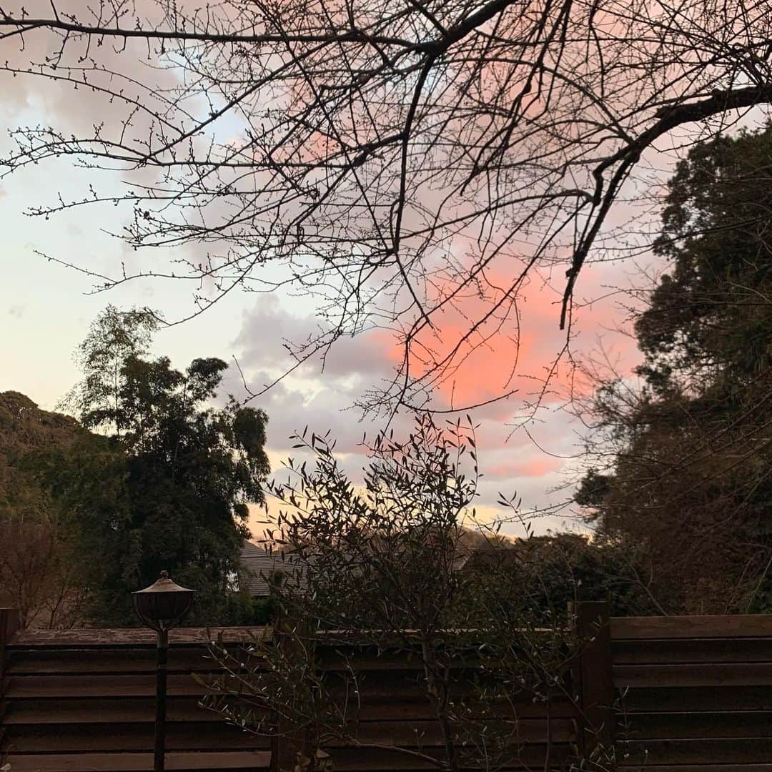クリス智子さんのインスタグラム写真 - (クリス智子Instagram)「今日もリモート生放送、 無事、終りました。 （ありがとうございます。）  5時前には、こんなピンク色の空が垣間見えました。 今日は、結局、空のいい色をいくつも見られた気がします。 そちらは、どうでしたか？  さて、早速明日の番組のことを考えなかまら、 夕飯の支度をします。 今夜は、我が家はカレーです。  散々、今日は、番組で魚の話をして、 気分的には魚が盛り上がっているのですが、 ちょっと面白いカレールーを見つけたので、 試してみたく、 牛肉が、昨夜からしっかりスタンバイ👍 おいしいといいなぁ〜  良い夜を。」1月18日 18時01分 - chris_tomoko
