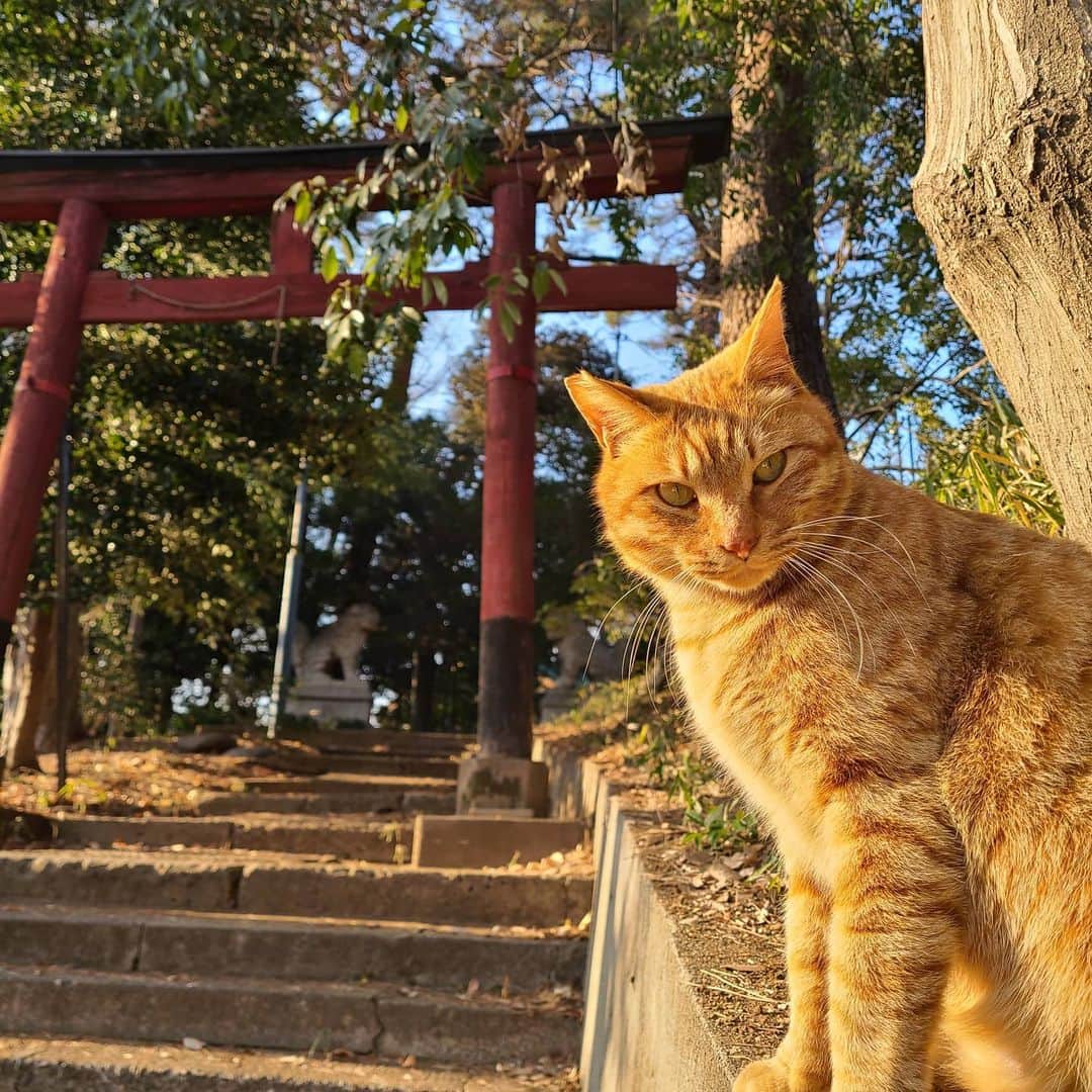 三宅裕子のインスタグラム