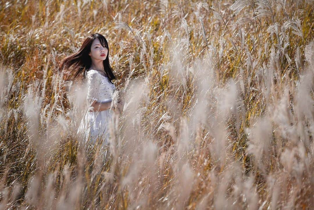 Mikaさんのインスタグラム写真 - (MikaInstagram)「ススキ🌾好き✨  梅や桜が咲くまでひっそり冬眠しています。 ・ ・ ・ photo by @hoshikawayozi 📸 model @mikarin_portrait  ・ ・ ・ #美花展 ありがとうございました💐 ・ ・ follow me💋  #カメラ好きな人と繋がりたい #ファインダー越しの私の世界 #ポートレートモデル #ポトレ女子 #撮影依頼募集中 #愛媛観光  #ポトレのセカイ #ポトレ撮影隊 #愛媛ポートレートの会  #camellia_photo_art  #portrait_ig #great_portraits #love_camera_club #jp_portrait #match_portrait #loves_united_portrait  #team_jp_ #global_ladies #photo_shorttrip #_lovely_weekend #japan_art_photography #portraitfestival #portraitinlove #portrait_mood #exclusive_world_portrait  #instagood #instagramjapan」1月18日 18時30分 - mika_portrait