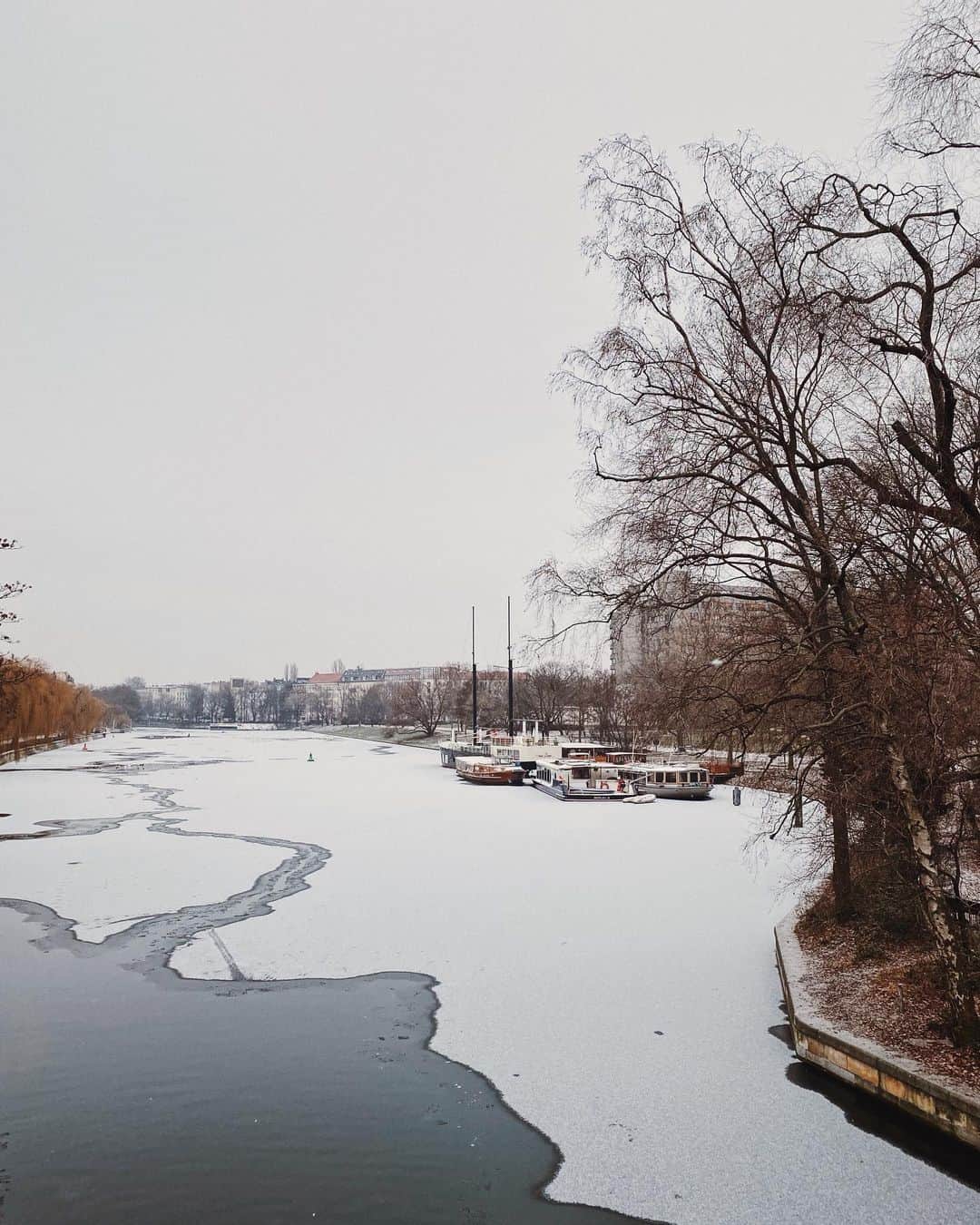 STIL IN BERLINのインスタグラム：「I’d say make time for a walk today because it’s supposed to be 7 degrees on Wednesday.」
