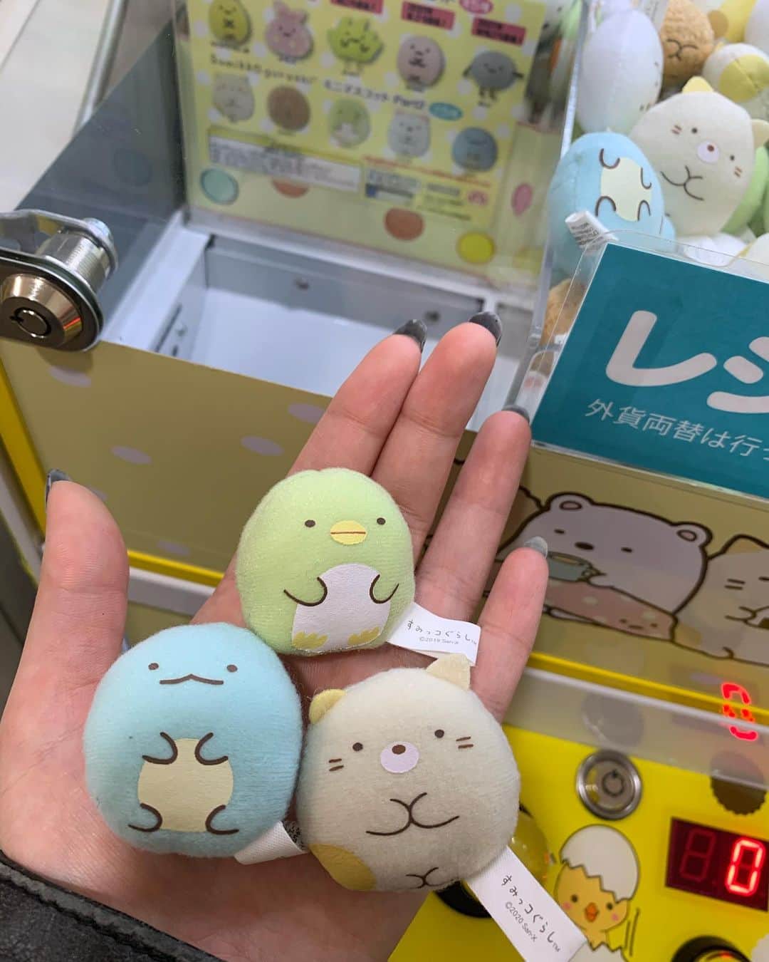小笠原星のインスタグラム：「前にとったんだけどもうどこかいった」