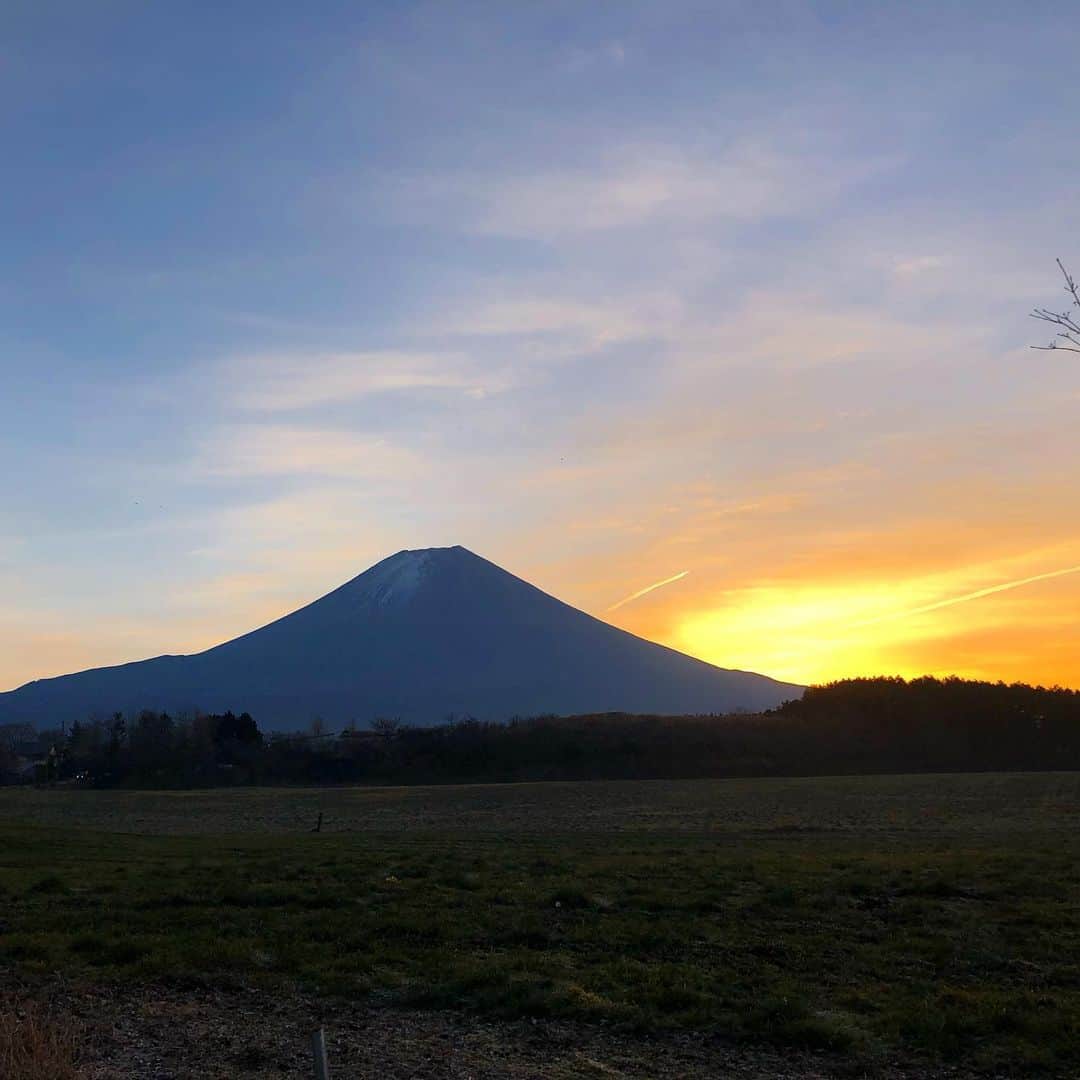 YUKAさんのインスタグラム写真 - (YUKAInstagram)「おにゅーキャディバッグと🗻🥰﻿ ﻿ @anewgolf のキャディバッグに﻿ @selmo_japan のヘッドカバー﻿ 可愛い〜🤤💕﻿ ﻿ この日は寒さ覚悟で﻿ #朝霧ジャンボリーゴルフクラブ ﻿ に行ってきたよ⛳️✨﻿ ﻿ 最初の3ホールくらいはグリーン凍っとったけど、本当にあったかくてゴルフ日和でした🥳﻿ ﻿ 今年も富士山🗻の近くで沢山ゴルフしたいなー✨﻿ ﻿ #ゴルフ好き #ゴルフ #ゴルフラウンド #ゴルフ女子 #ゴルフ上手くなりたい #ゴルフスイング #ゴルフスイング動画 #ゴルフコーデ #ゴルフ男子 #ゴルフ好きな人と繋がりたい #ゴルフバカ #ゴルフ好きな人と仲良くなりたい #ゴルフウェア #ゴルフ記録 #ファッション #おしゃれさんと繋がりたい #お洒落 #ゴルジョ #スポーツ好き #スポーツコーデ  #golf #golfstagram #golfwear #golfgirl #golfswing #골프여자#골프스타그램 #골프 #골프웨어」1月18日 19時51分 - golf_yuka3405