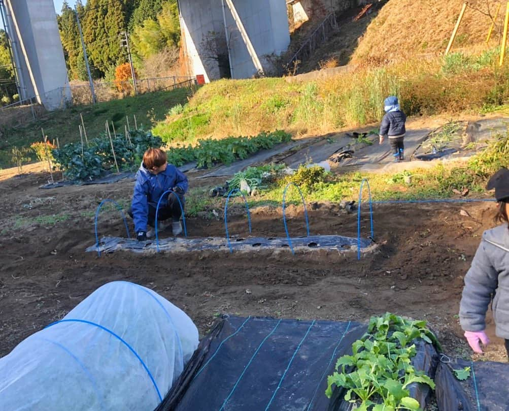 高根正樹のインスタグラム：「土いじり楽しかったな👨‍🌾🥕🥬 甥っ子が心配な叔父さん。 #甥っ子 #cute #nephew #field #Radish #tinkering」