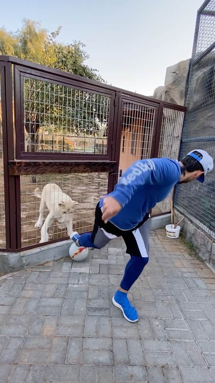 ショーン・ガルニエのインスタグラム：「7 days and ... too much happened 🤣  #SeanGarnier #Urbanball #Urbanballer #Skills #BestOf @masoudsulaiman @433 @torontosportacademy @sb_belhasa @jasondavidson91」