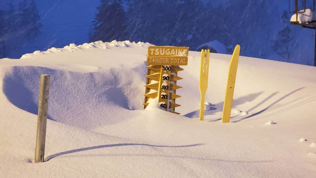 栂池高原スキー場さんのインスタグラム写真 - (栂池高原スキー場Instagram)「おはようございます‼️ 栂池高原スキー場、朝イチレポートです。 積雪　320cm 天候　雪 気温　-7℃ 風速　10～15 m/s  吹きだまりの多いところで、70cmあります。  最新の運行情報はホームページでご確認ください。⬇️  栂池の天気は→ https://weathernews.jp/s/ski/spot/34808/ 公式ホームページは→https://www.tsugaike.gr.jp/ふ」1月19日 7時09分 - tsugaike_kogen