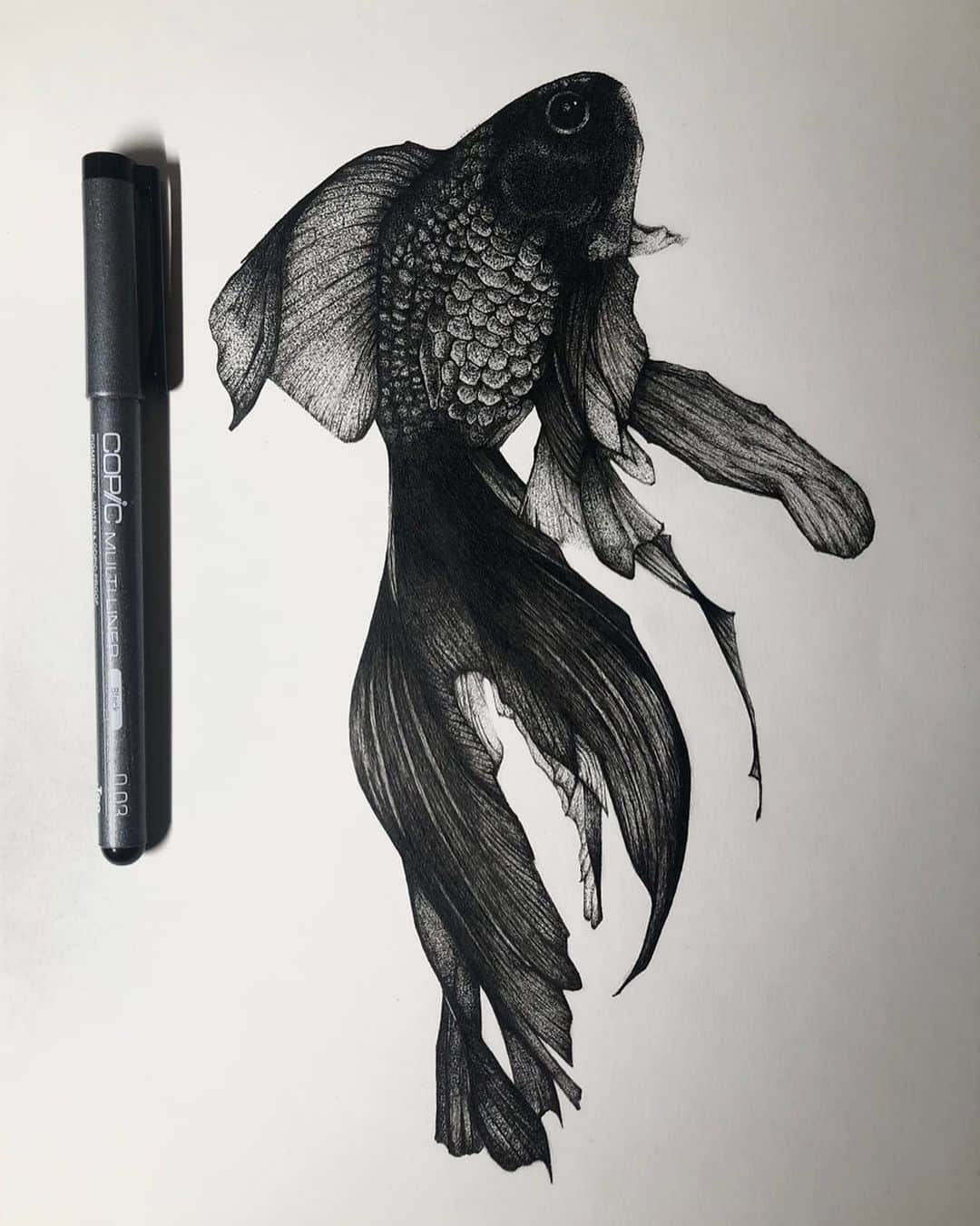 eyeronのインスタグラム：「#eyeron #ペン画 #点描画 #金魚 #copic」