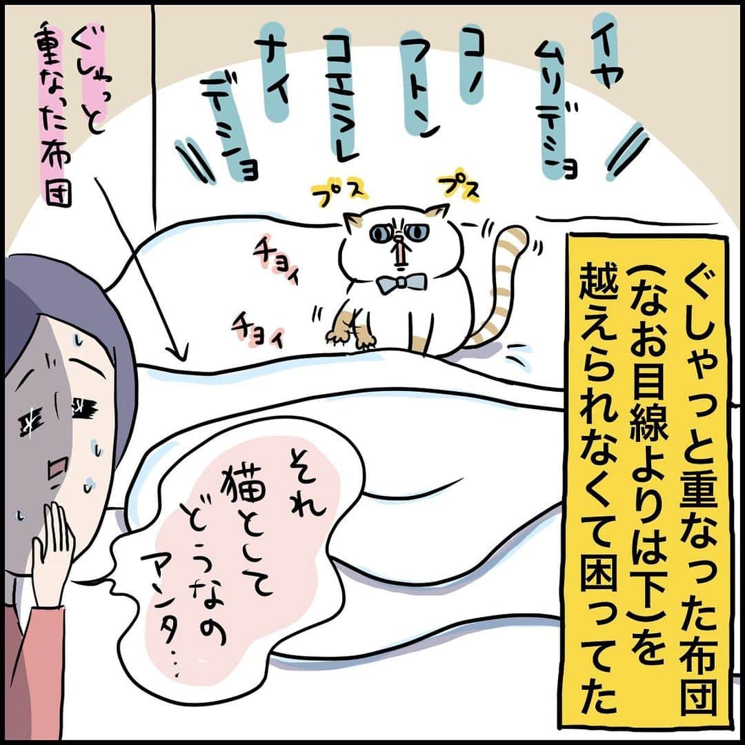 うえだしろこさんのインスタグラム写真 - (うえだしろこInstagram)「うちの子は猫・・・なの・・・？ ・ ・ ブログ更新してます😆 ・ 「飼い主の心理を巧みに利用する猫」 ・  ストーリーズからぜひみてね〜😍 ・ ・ #育児漫画 #育児日記 #育児絵日記 #コミックエッセイ #ライブドアインスタブロガー #猫のいる暮らし」1月18日 22時14分 - shiroko_u