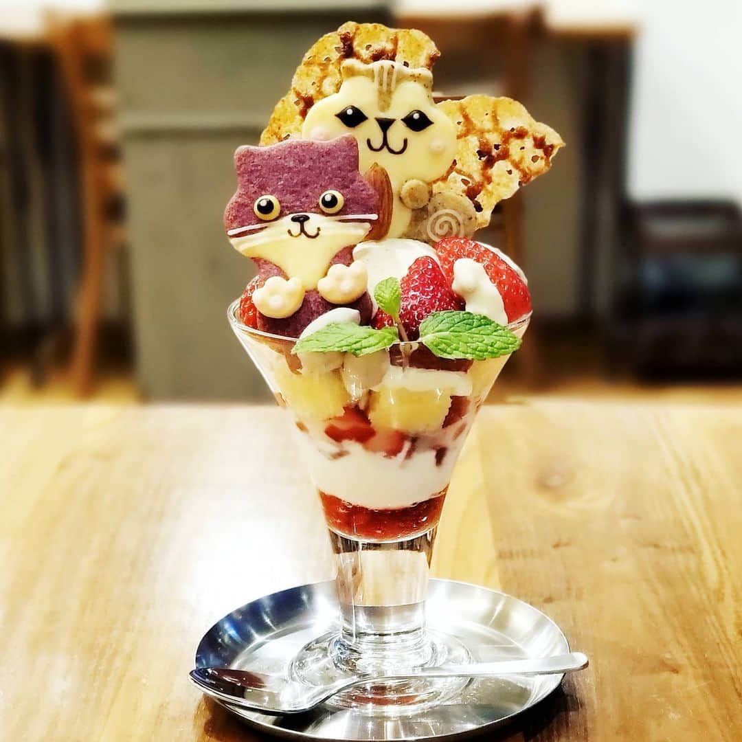 ミスター黒猫（黒猫仙人）のグルメインスタ