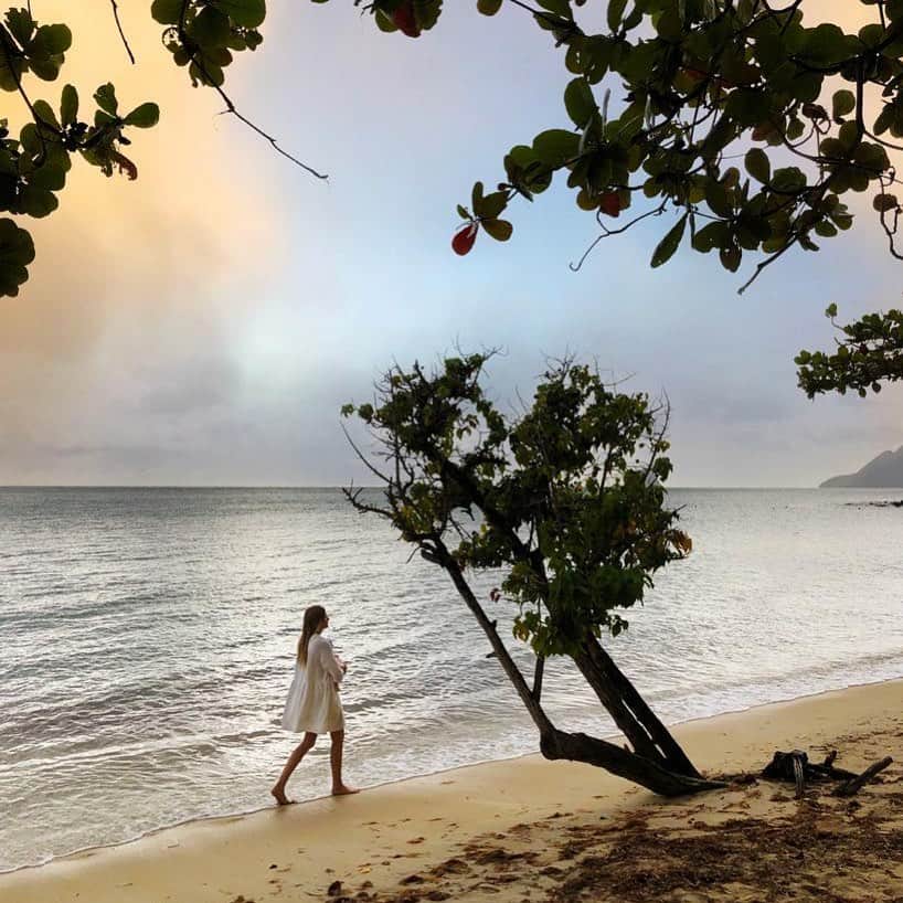 シグリッド・アグレンさんのインスタグラム写真 - (シグリッド・アグレンInstagram)「Walking with my baby boy in my arms, soothing him with the sound of the ocean, showing him what a beautiful island he was born on. Moments like this are priceless 🙏🏻✨💙 And as usual, @tommy.clarke captured it beautifully 😍🥰❤️ #martinique #homesweethome #islandgirl #carribeanlife #oceanlife  #motherhood #newmom」1月18日 23時05分 - sigridagren