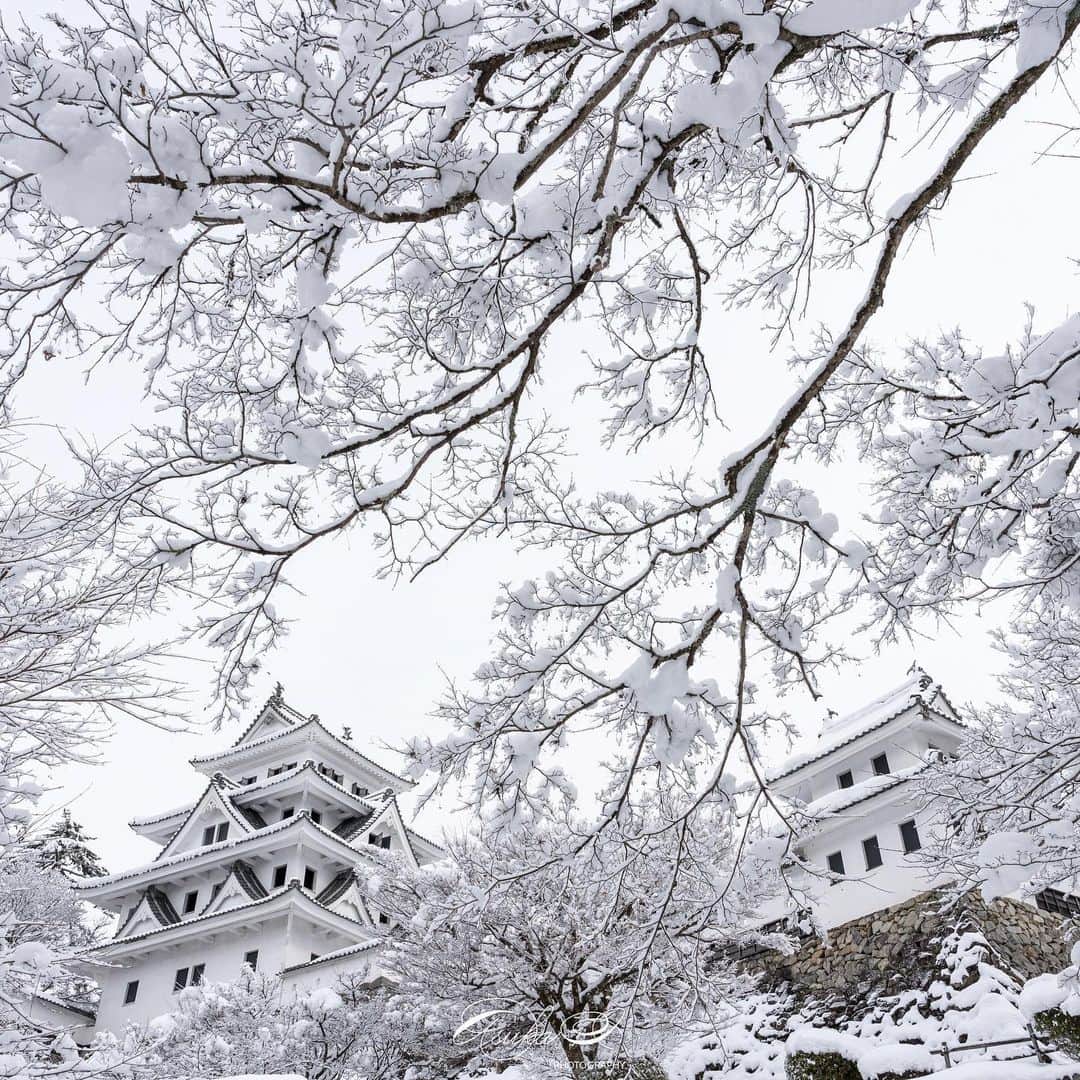 Asuka（明日香）のインスタグラム：「*﻿ *﻿ Snow castle🏯❄️﻿ *﻿ *﻿ せっかくなのでお城まで行ってみました。﻿ 雪を踏んだときの音と感触が気持ちよくて、無駄に歩き回りました☺️﻿ *﻿ *﻿ #郡上八幡城﻿ #郡上八幡﻿ #城﻿ #castle﻿ #snow﻿ #雪景色﻿ #sonyalpha ﻿ #sony﻿ #gifu﻿ #japan﻿ #α7R3﻿ #A7RIII﻿ #BeAlpha﻿ #SonyImages﻿ #yourshotphotographer﻿ #SonyImages」