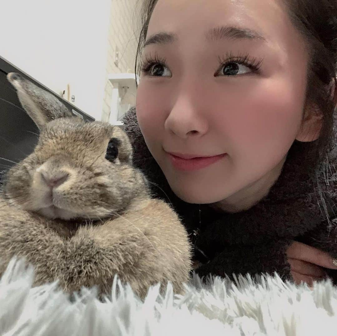 熊野あゆ（澄川鮎）さんのインスタグラム写真 - (熊野あゆ（澄川鮎）Instagram)「. 同じ方向を🐰 . . . #rabbit #holandlop #うさぎ」1月19日 0時03分 - ayu_kumano