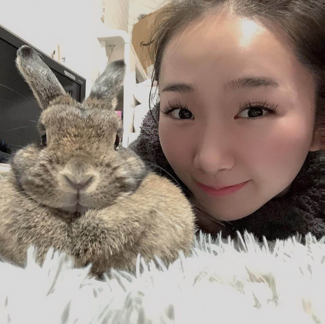 熊野あゆ（澄川鮎）さんのインスタグラム写真 - (熊野あゆ（澄川鮎）Instagram)「. 同じ方向を🐰 . . . #rabbit #holandlop #うさぎ」1月19日 0時03分 - ayu_kumano