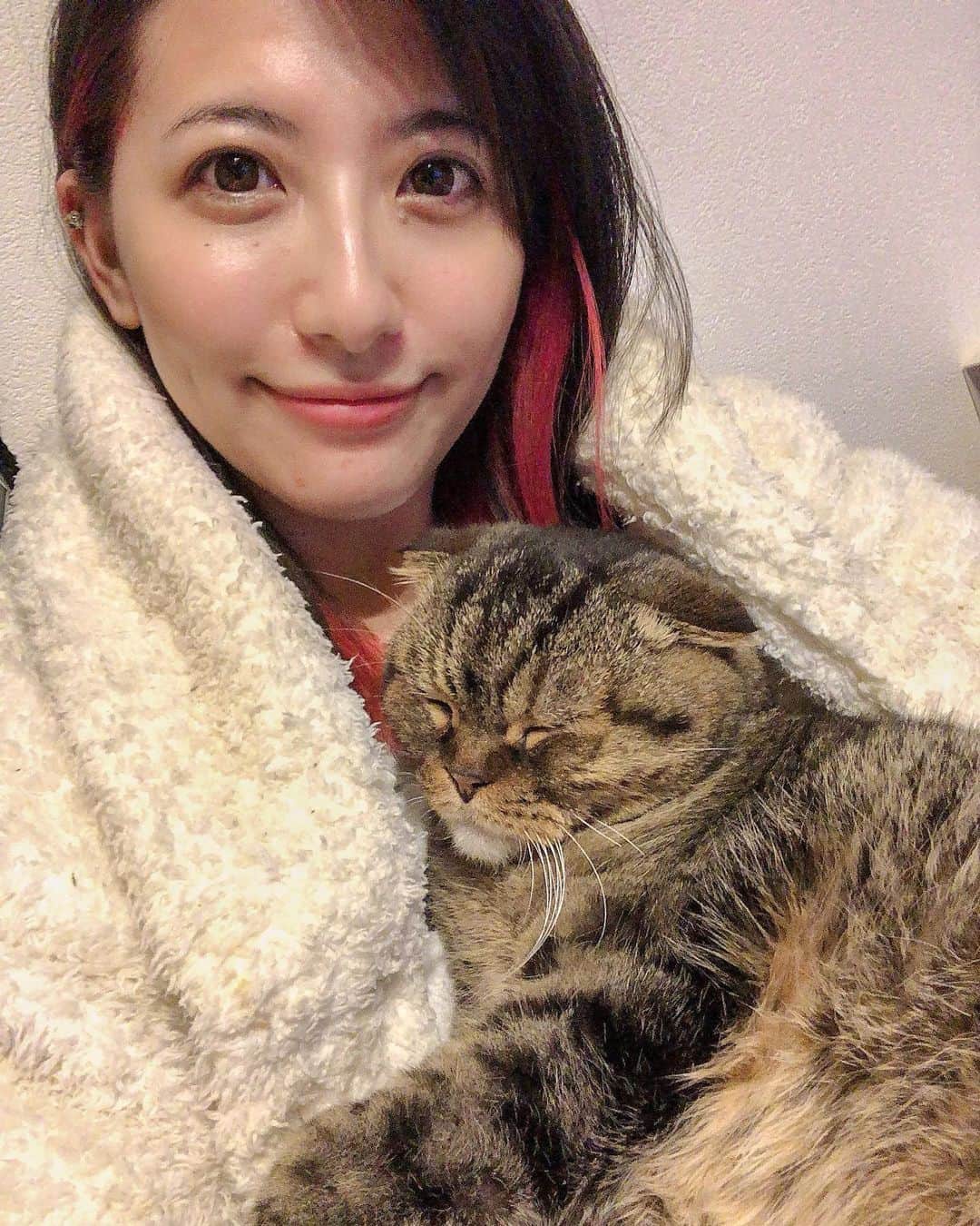 矢部あやのインスタグラム：「我が家のレイちゃんが14歳になりました🎉 ずっとそばにいてくれてありがとう♡」