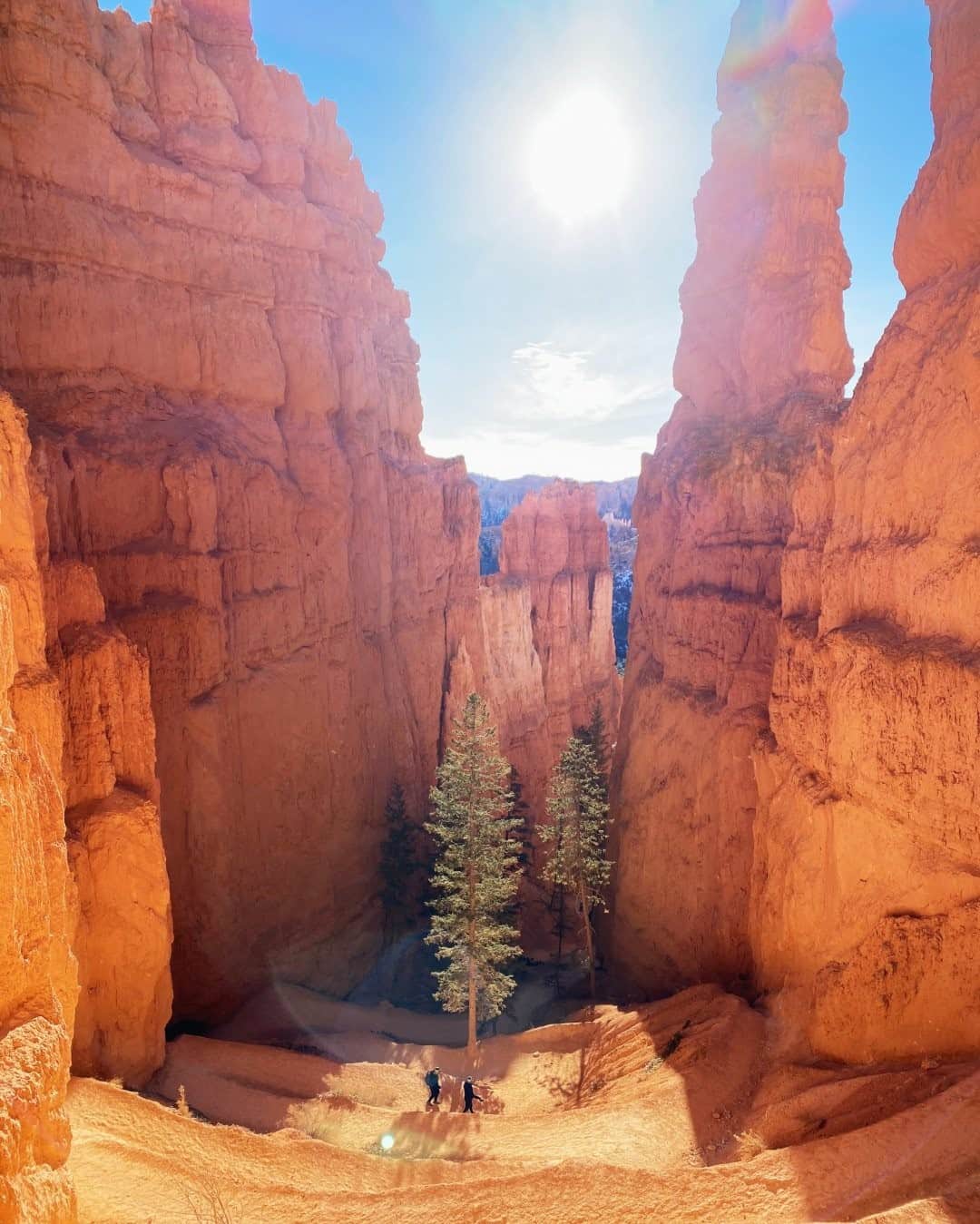 National Geographic Travelさんのインスタグラム写真 - (National Geographic TravelInstagram)「Photo by @jessicasample / Water, ice, and gravity have carved red rock into towering hoodoos over thousands of years, giving Bryce Canyon National Park its otherworldly appearance. #brycecanyon」1月19日 0時37分 - natgeotravel