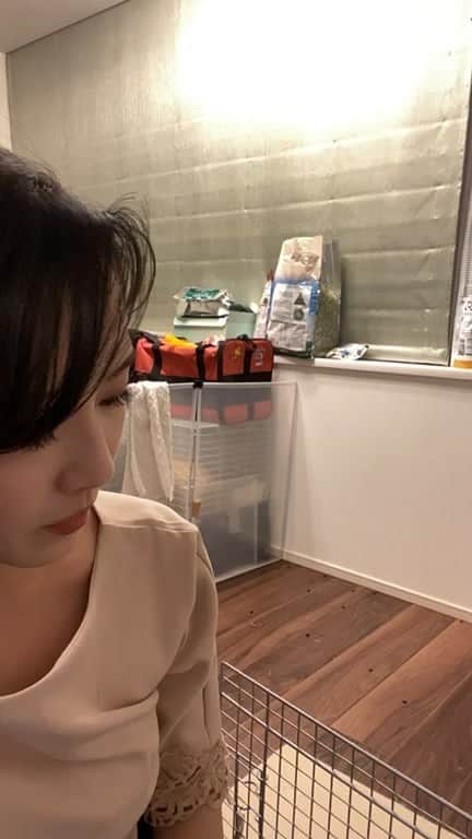 のインスタグラム