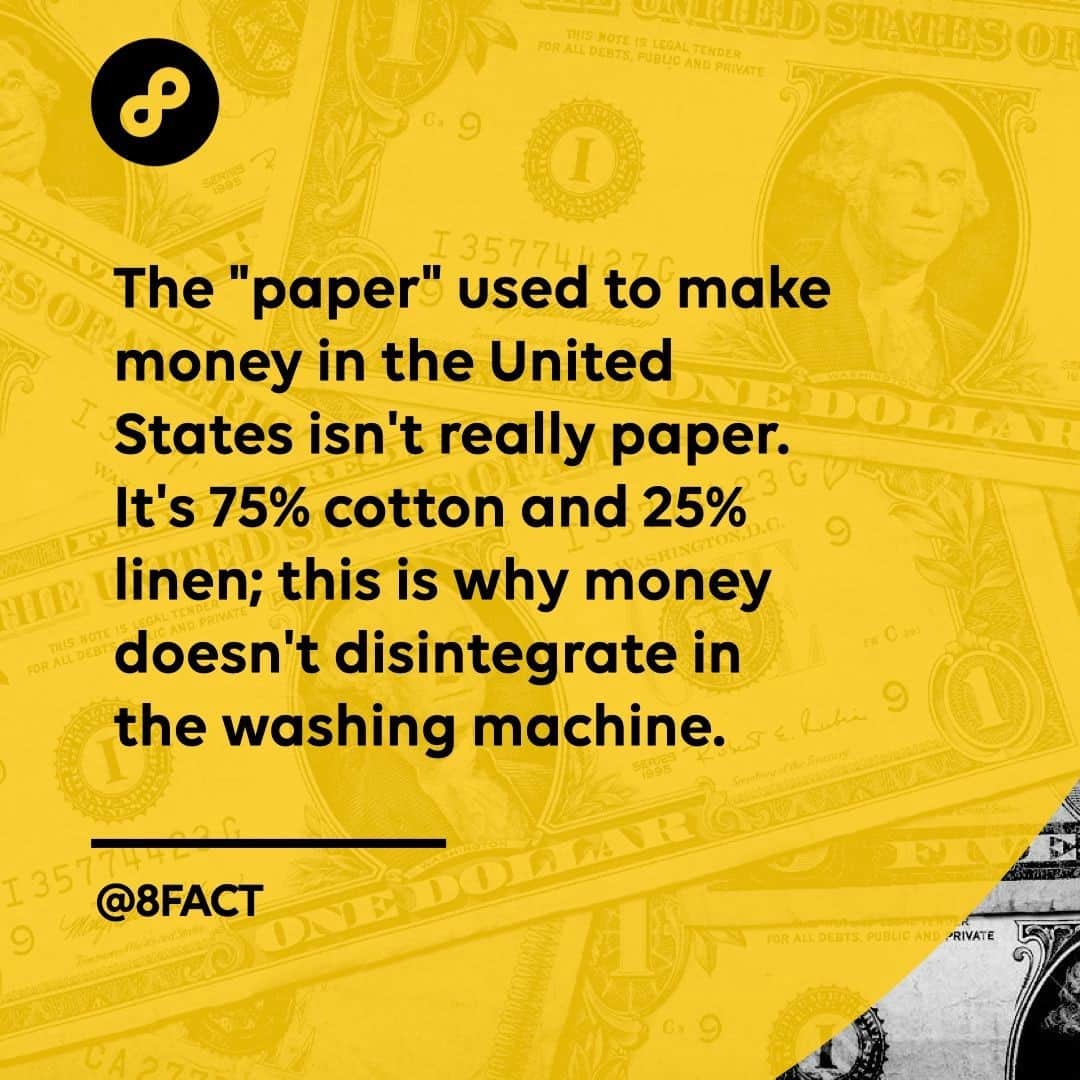 のインスタグラム：「My money only disintegrates on Amazon.」