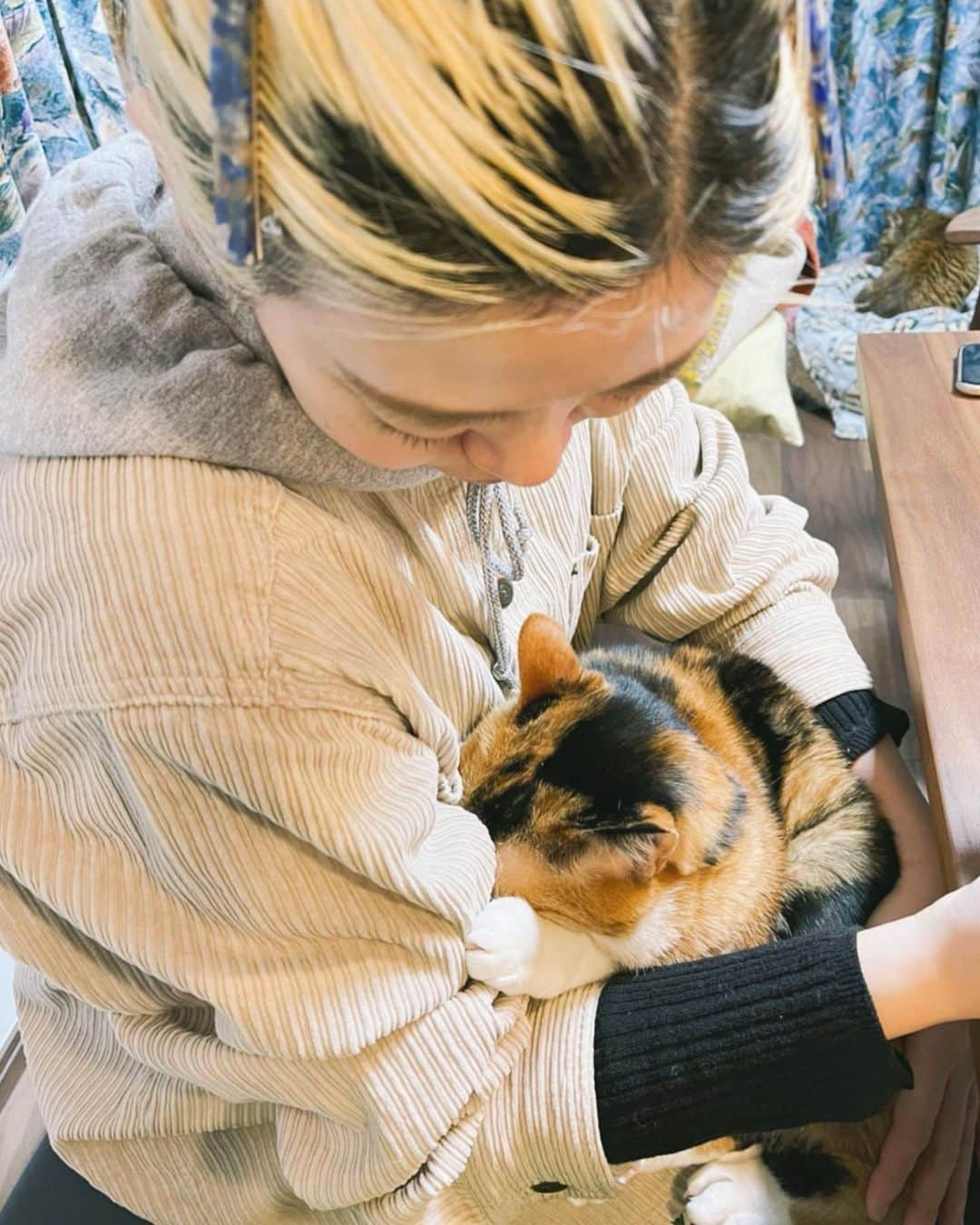 蓮沼千紘さんのインスタグラム写真 - (蓮沼千紘Instagram)「実家の愛猫の梅ちゃんは顔をギューってしてきます。誰の膝にも乗る甘えん坊です。🤱💞  奥には先輩猫の杏さん11歳。  #ぬこ」1月19日 0時52分 - knitchihiro