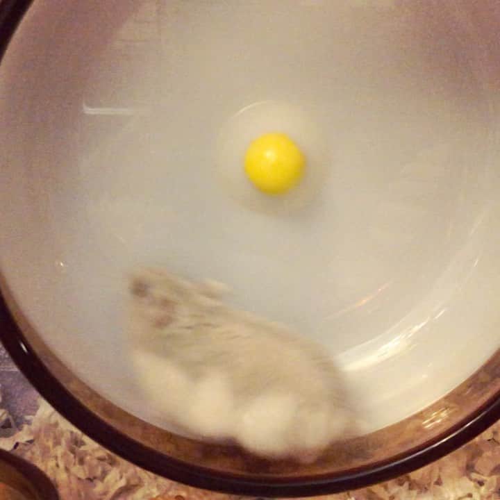 Liaのインスタグラム