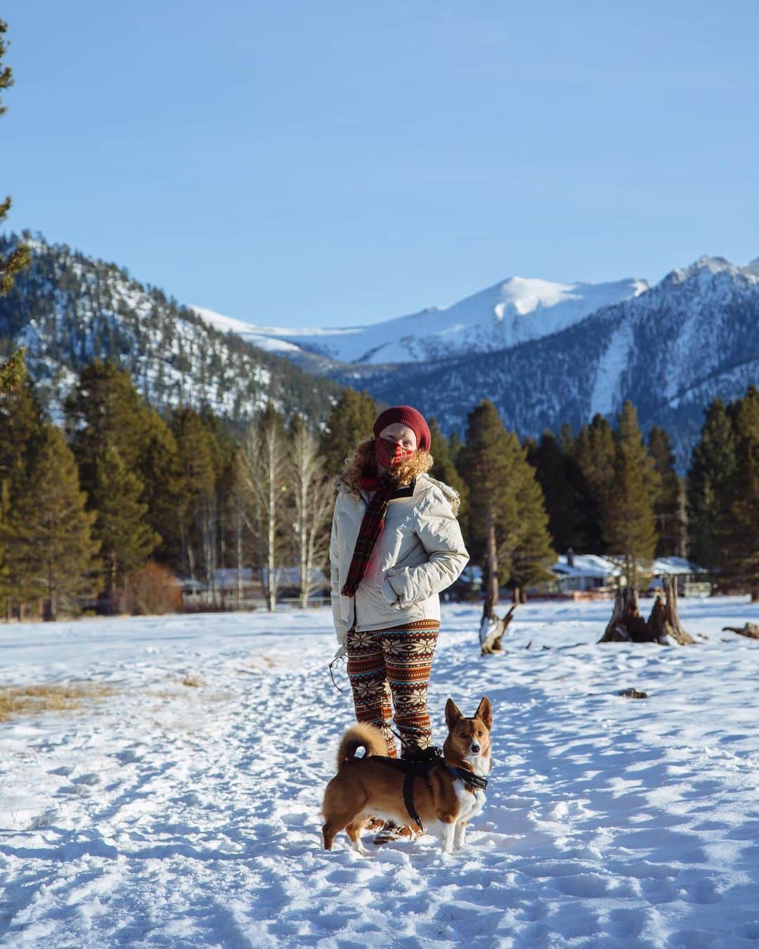 ローレン·ランドルフさんのインスタグラム写真 - (ローレン·ランドルフInstagram)「@caitran & @arrowthecorgi’s new neighborhood looks a bit different now. ❄️😷」1月19日 1時34分 - laurenlemon