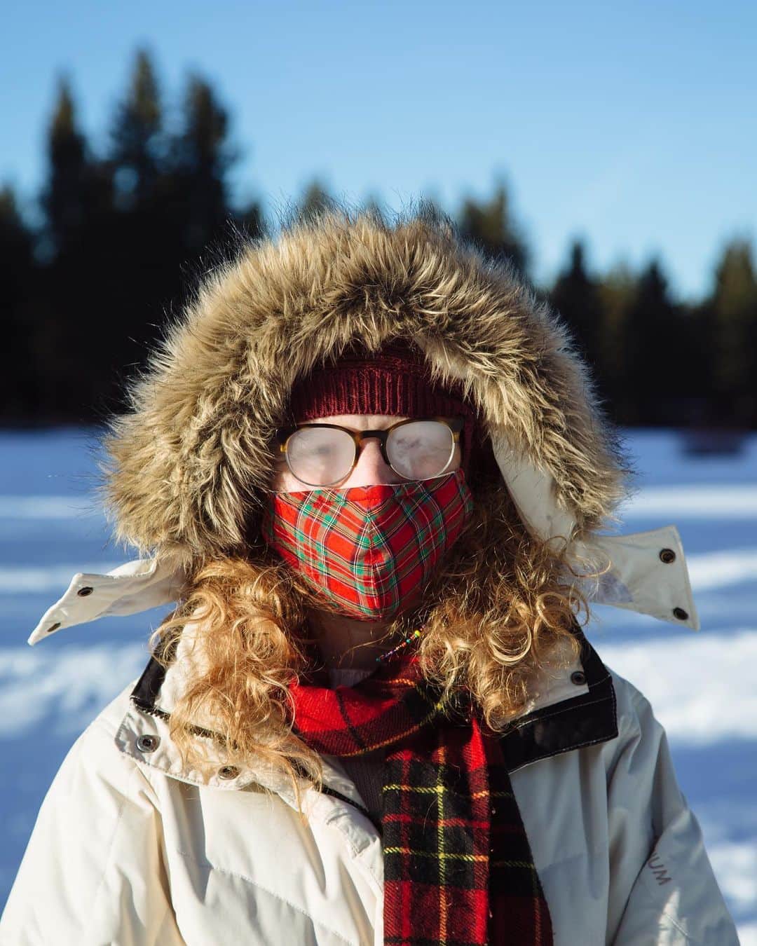 ローレン·ランドルフのインスタグラム：「@caitran & @arrowthecorgi’s new neighborhood looks a bit different now. ❄️😷」