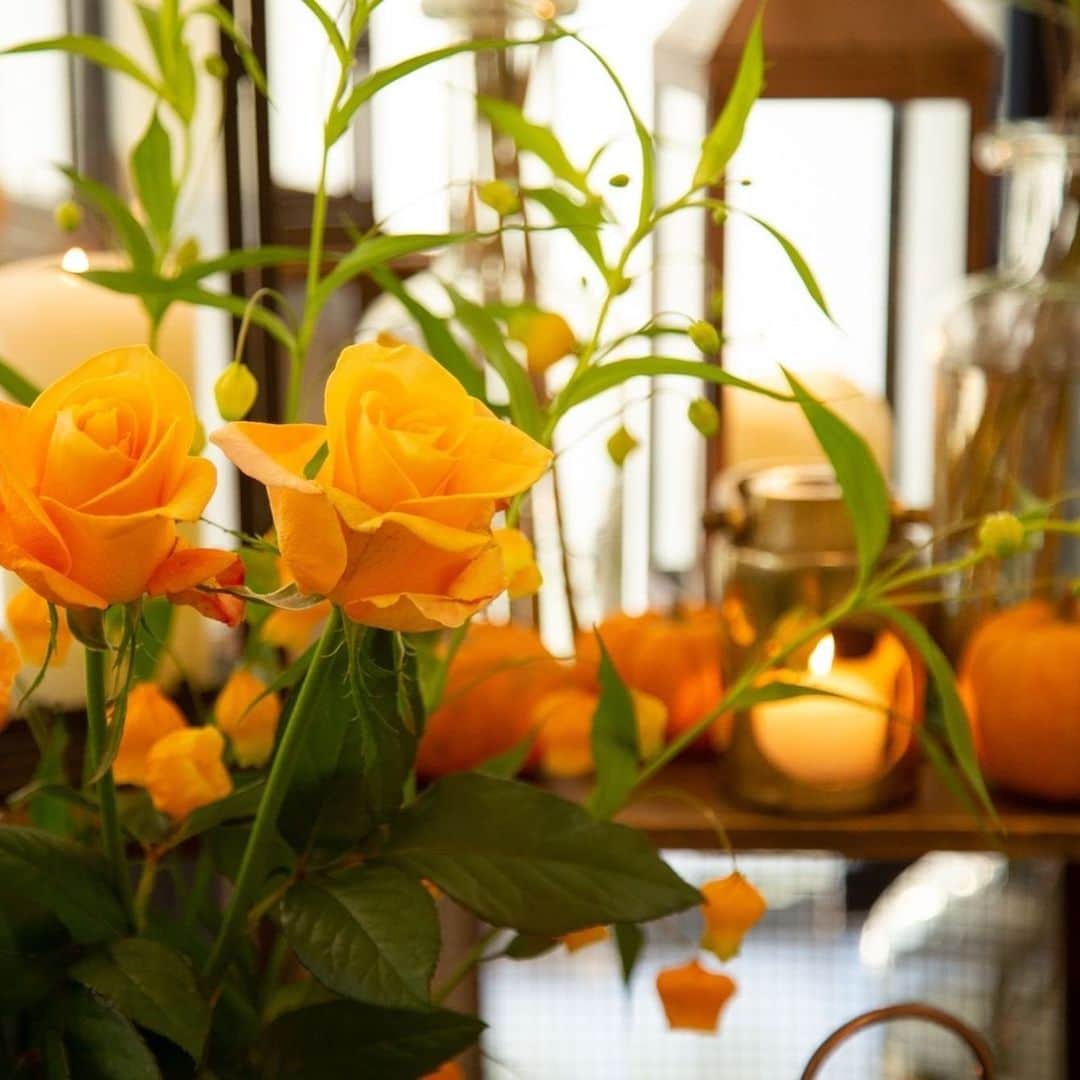 The Sally Garden（ザ サリィガーデン）さんのインスタグラム写真 - (The Sally Garden（ザ サリィガーデン）Instagram)「. . #ハロウィン をイメージした#コーディネート . かぼちゃやまつぼっくりは#お花 と一緒に飾ることで 秋らしさがより一層感じることができる#アイテム のひとつ . #ドライフラワー でおしゃれに飾られた#コーディネート も人気ですが 生き生きとしたお花らしさが感じられる#生花 もとっても素敵です . . . #ザサリィガーデン  #栃木結婚式 #花嫁diyレポ #ラスティックウエディング #披露宴会場 #披露宴会場装花 #披露宴会場コーディネート #バンケット #会場コーディネート #披露宴会場演出 #披露宴コーデ #装花イメージ #ナチュラルウエディング #結婚式場 #ウエディングレポート #gardenwedding #naturalwedding #プラコレ #Dressy花嫁 #ゼクシィ2021 #202春婚 #2021夏婚 #2021秋婚 #2021冬婚」1月19日 1時57分 - the_sally_garden