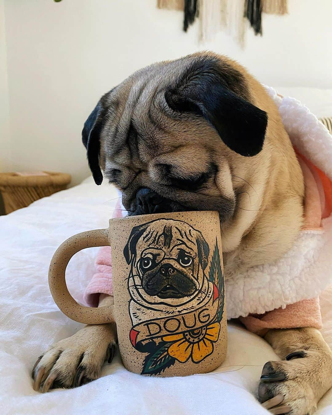 itsdougthepugさんのインスタグラム写真 - (itsdougthepugInstagram)「“When ur on ur second cup of coffee but haven’t eaten breakfast yet” -Doug」1月19日 2時21分 - itsdougthepug