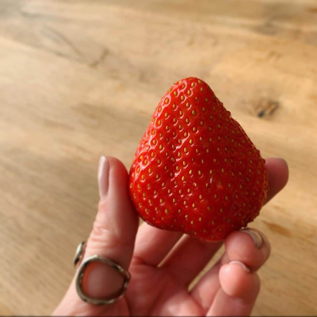 森なな子のインスタグラム：「食べるのがもったいないくらい大きくて綺麗ないちご🍓  #あまおう #博多あまおう #福岡 #おいしい #いちご #苺 #strowberry」