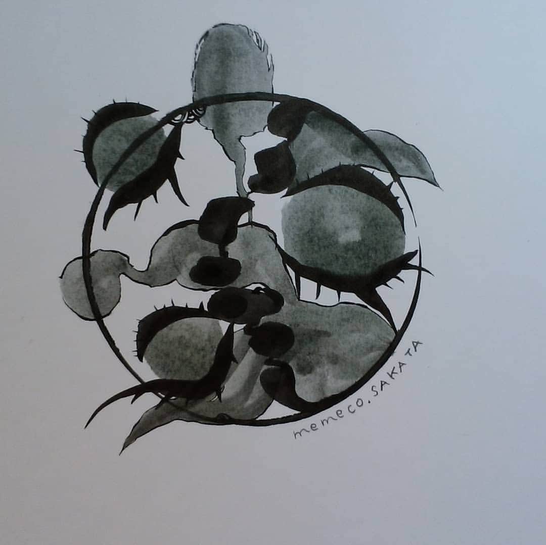 佐藤寛子さんのインスタグラム写真 - (佐藤寛子Instagram)「受精卵から逃げ出したい精子くん（のがさないわよby受精卵）  #illustration#art#受精卵」1月19日 16時27分 - memeco.s